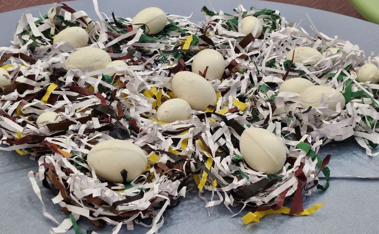 Ольга Бас в ходе поездки в регион совместно с ребятами из движения «Молодая гвардия – Юнармия» Луганский сводный отряд имени Героя России Е.А. Бровко дали старт акции «Пасхальная корзинка защитникам Отечества»