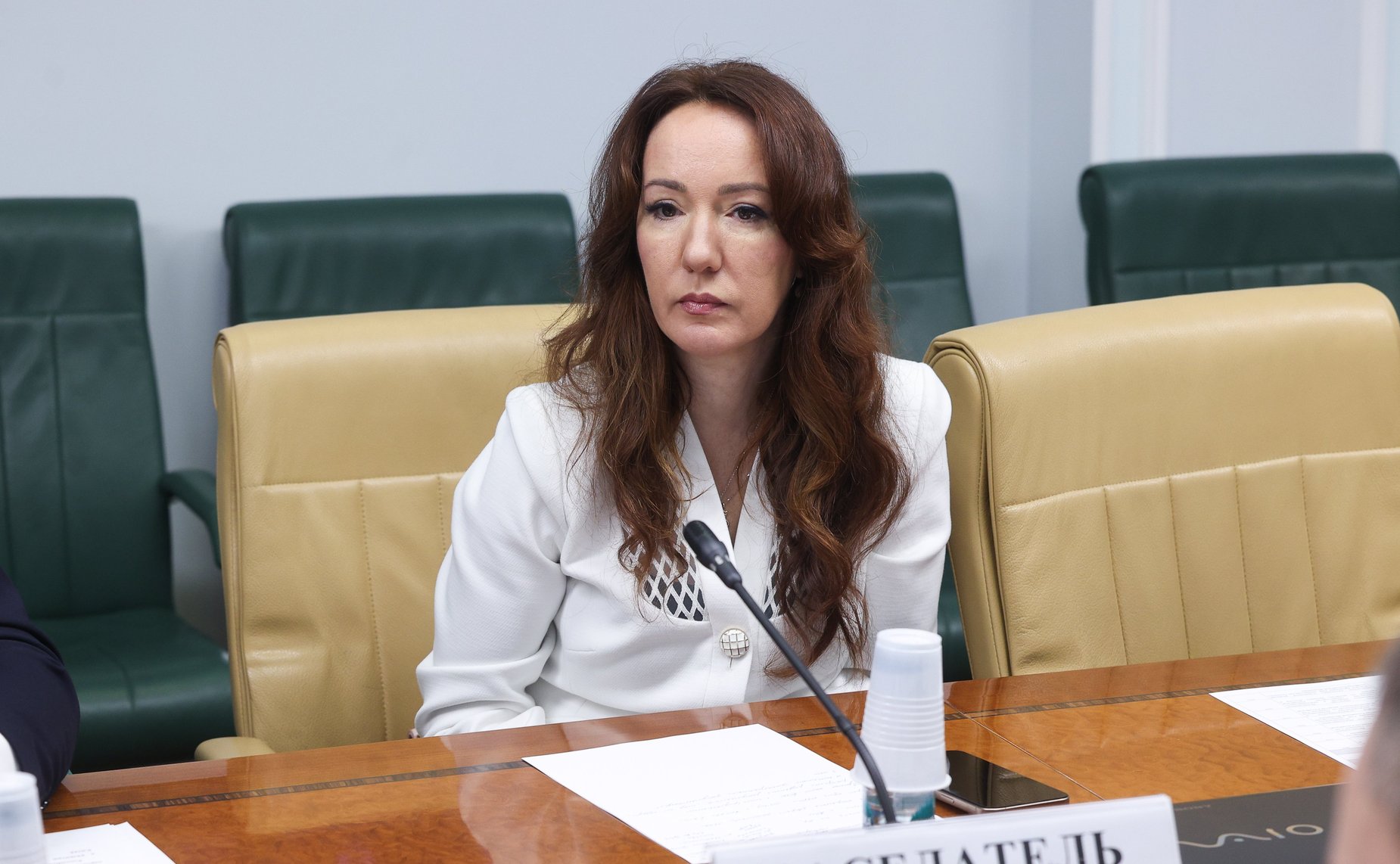 Круглый стол Комитета Совета Федерации по экономической политике «Деятельность акционерного общества «Российский экспортный центр» по развитию торгово-экономического партнерства России и Китая»