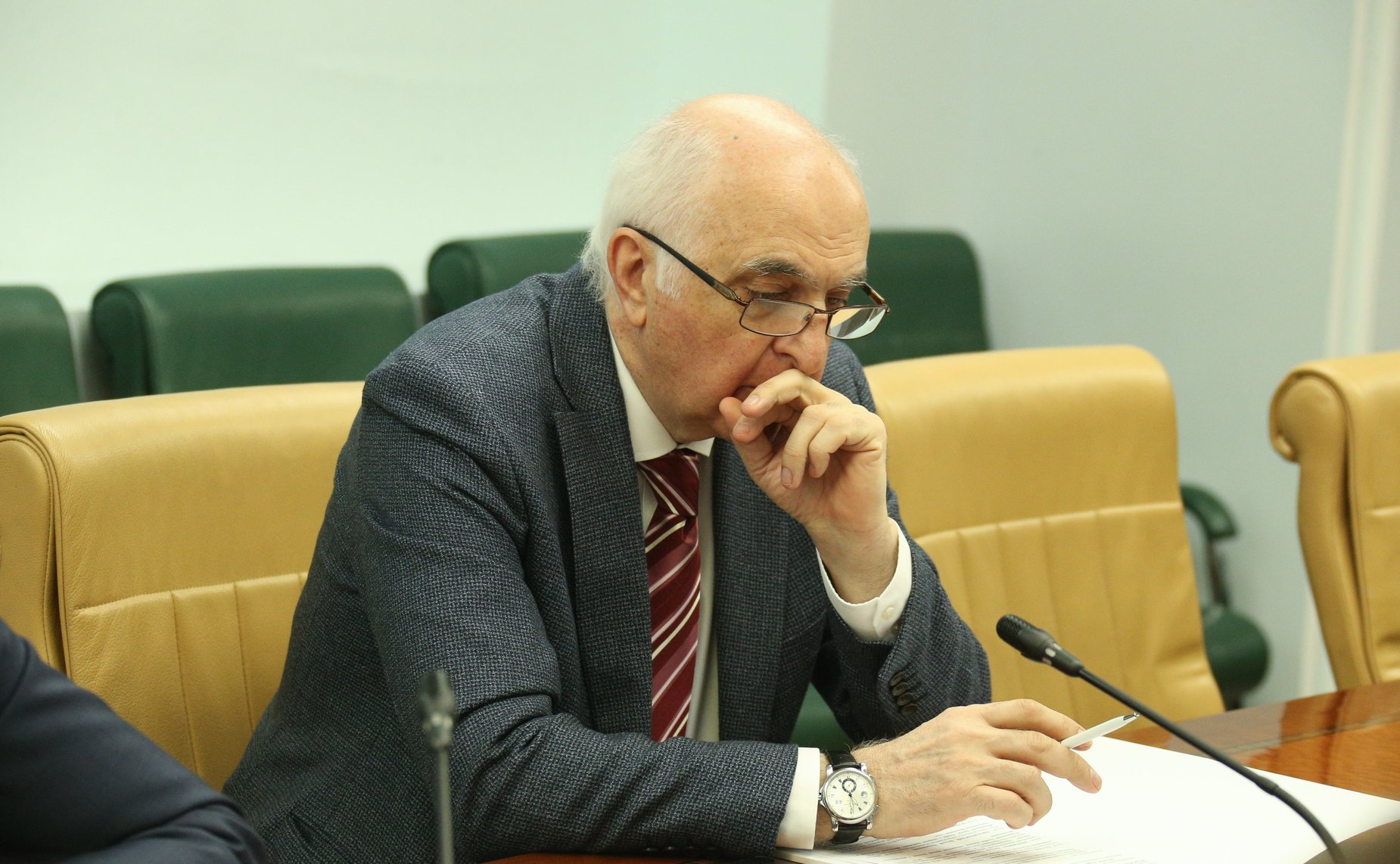 Заседание Экспертного совета по здравоохранению при Комитете СФ по социальной политике