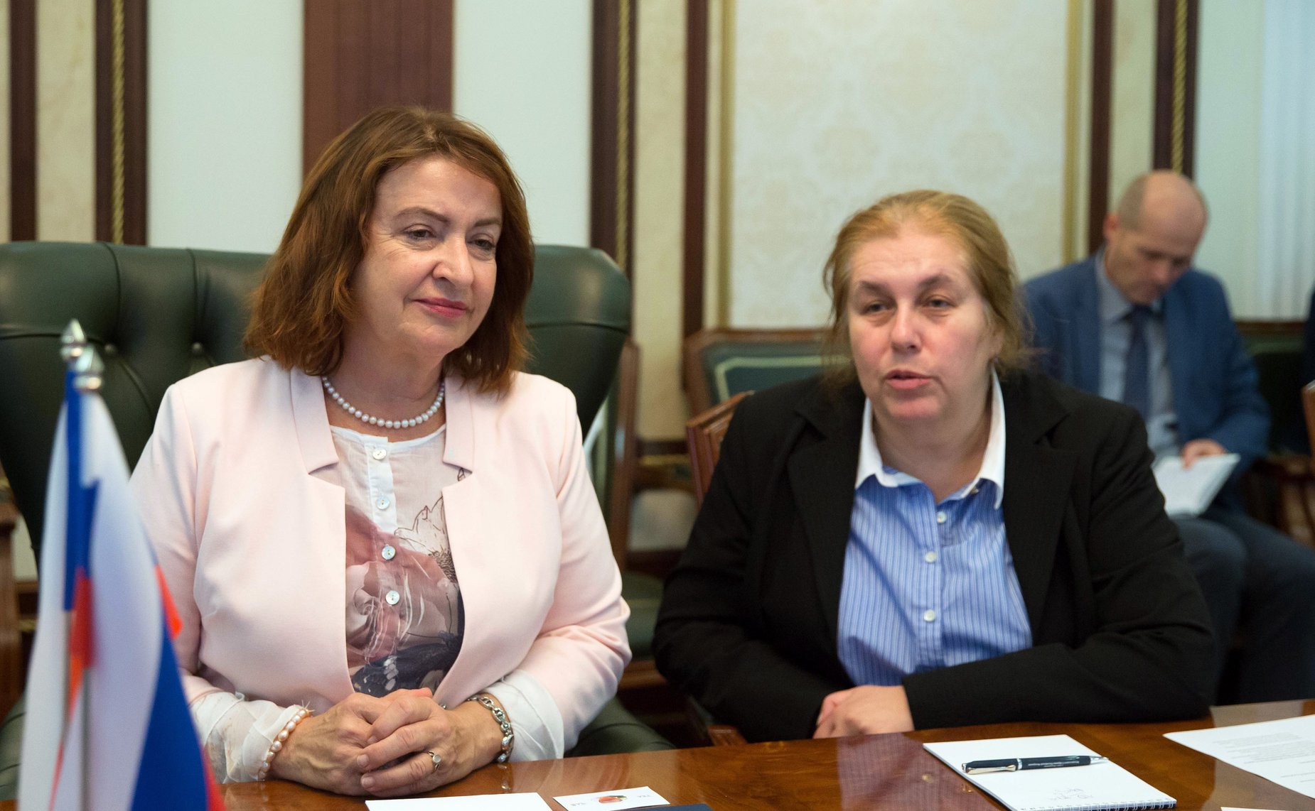 Встреча Г. Кареловой с заместителем Председателя Сената Парламента Чешской Республики М. Горской