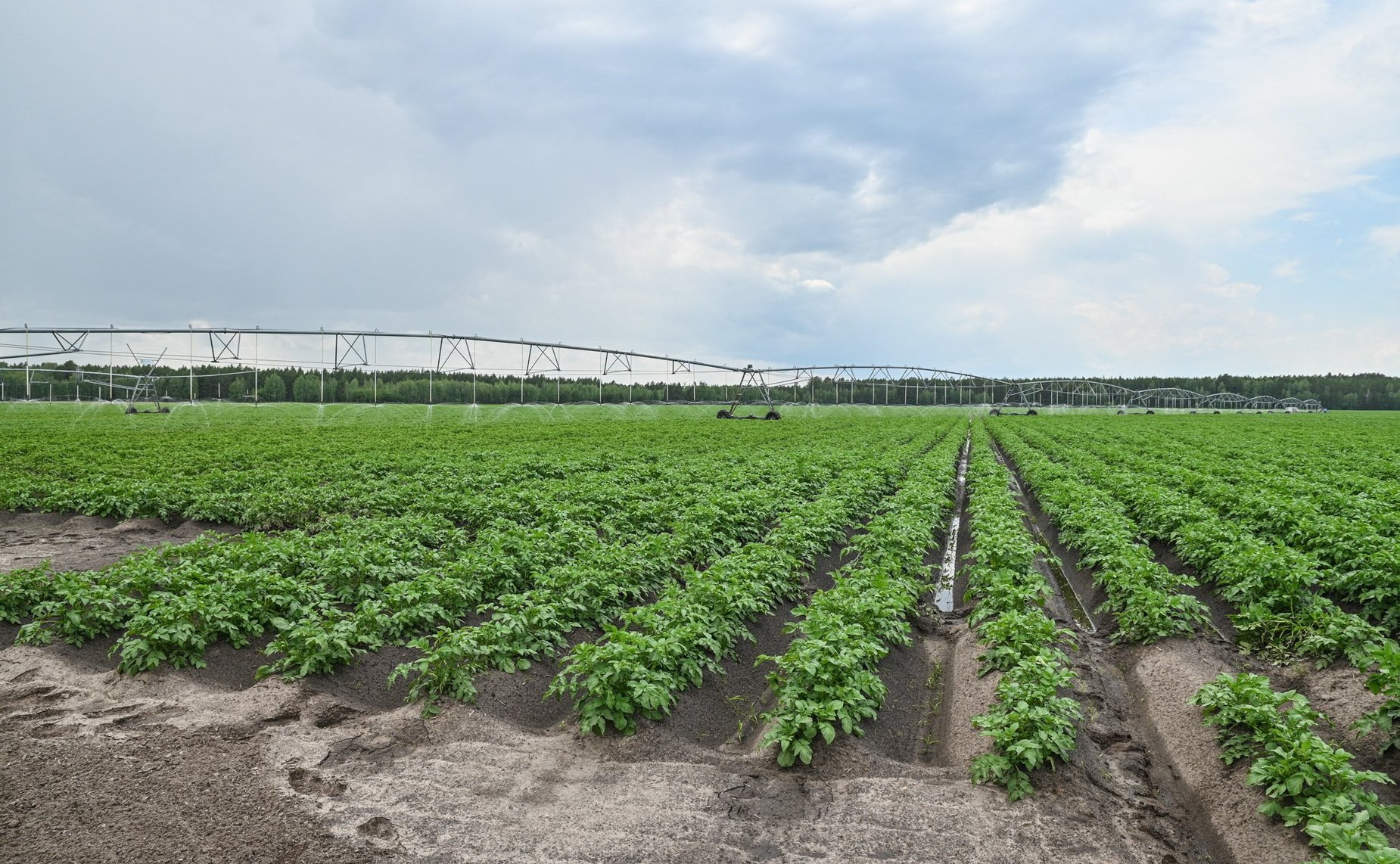 Выездное совещание сенаторов РФ в Тюменской области