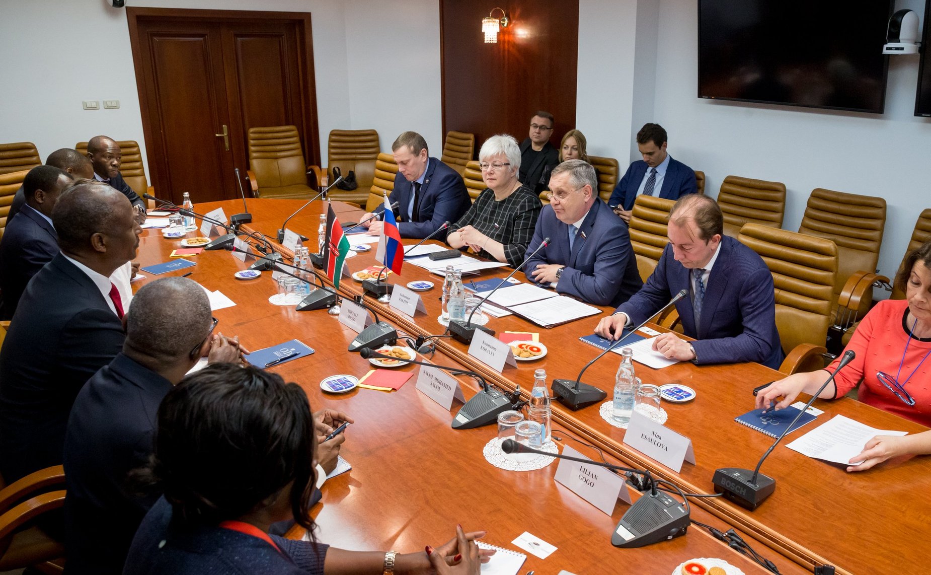 Встреча О. Тимофеевой с членом Комитета Национального собрания Кении по обороне и международным делам Дидо Али Рассо