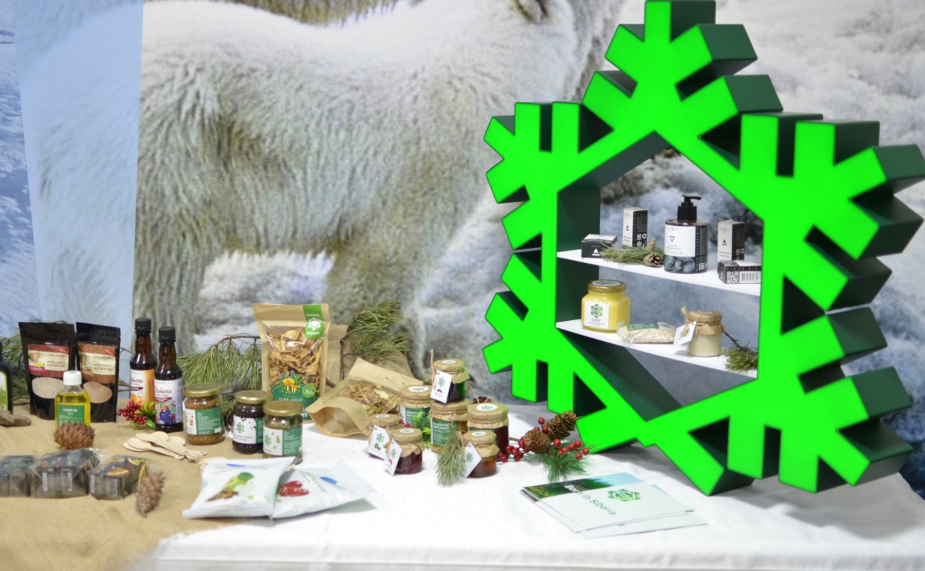 Татьяна Гигель приняла участие в работе Красноярского экономического форума «Время Сибири»