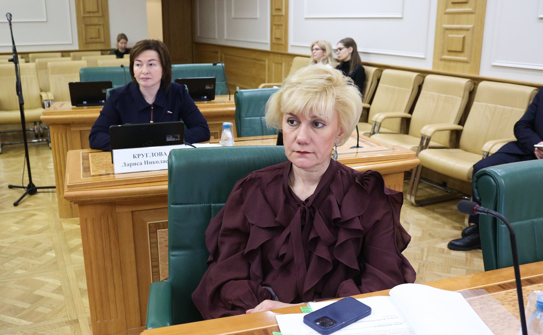 Заседание Комитета Совета Федерации по науке, образованию и культуре