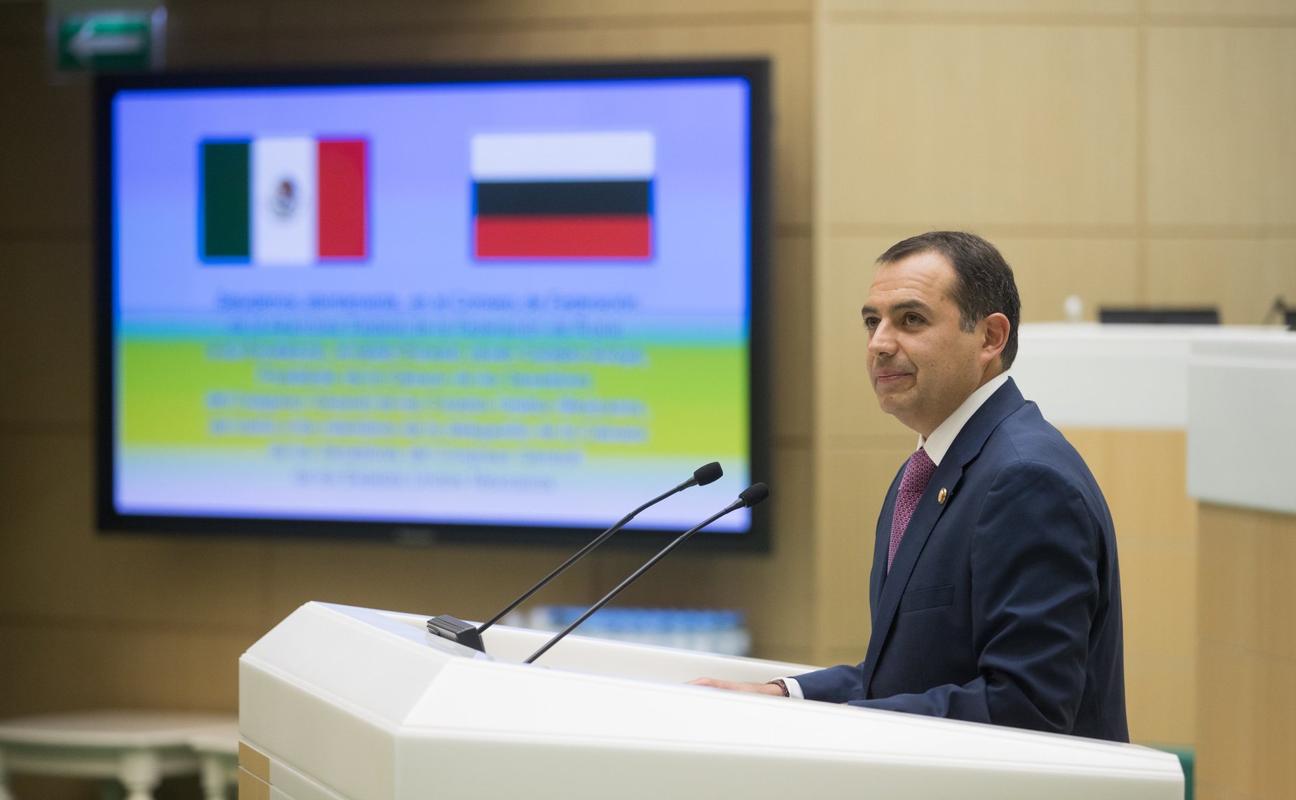 Председатель Палаты сенаторов Генерального конгресса Мексики Э. Арройо