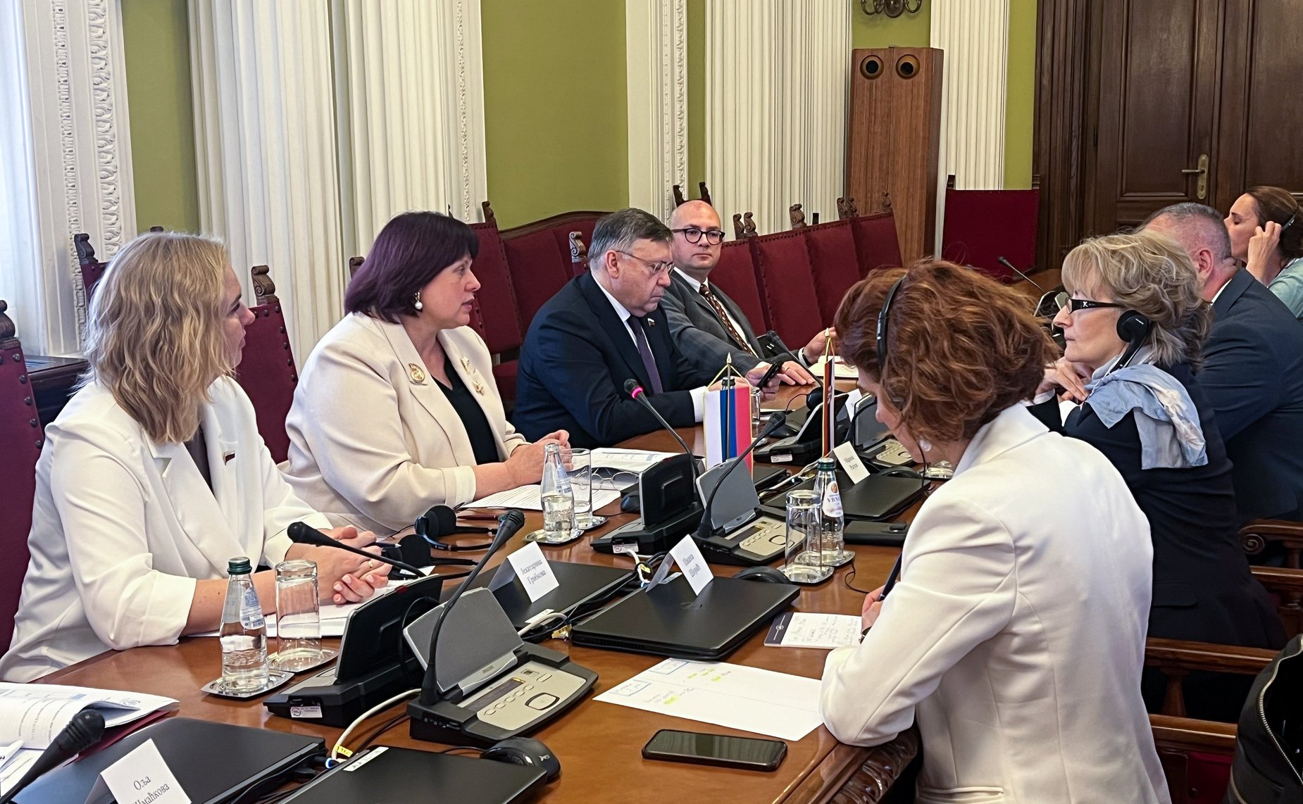 Встреча сенаторов с заместителем Председателя Народной скупщины Республики Сербии, председателем Комитета Народной скупщины Республики Сербии по внешней политике Мариной Рагуш