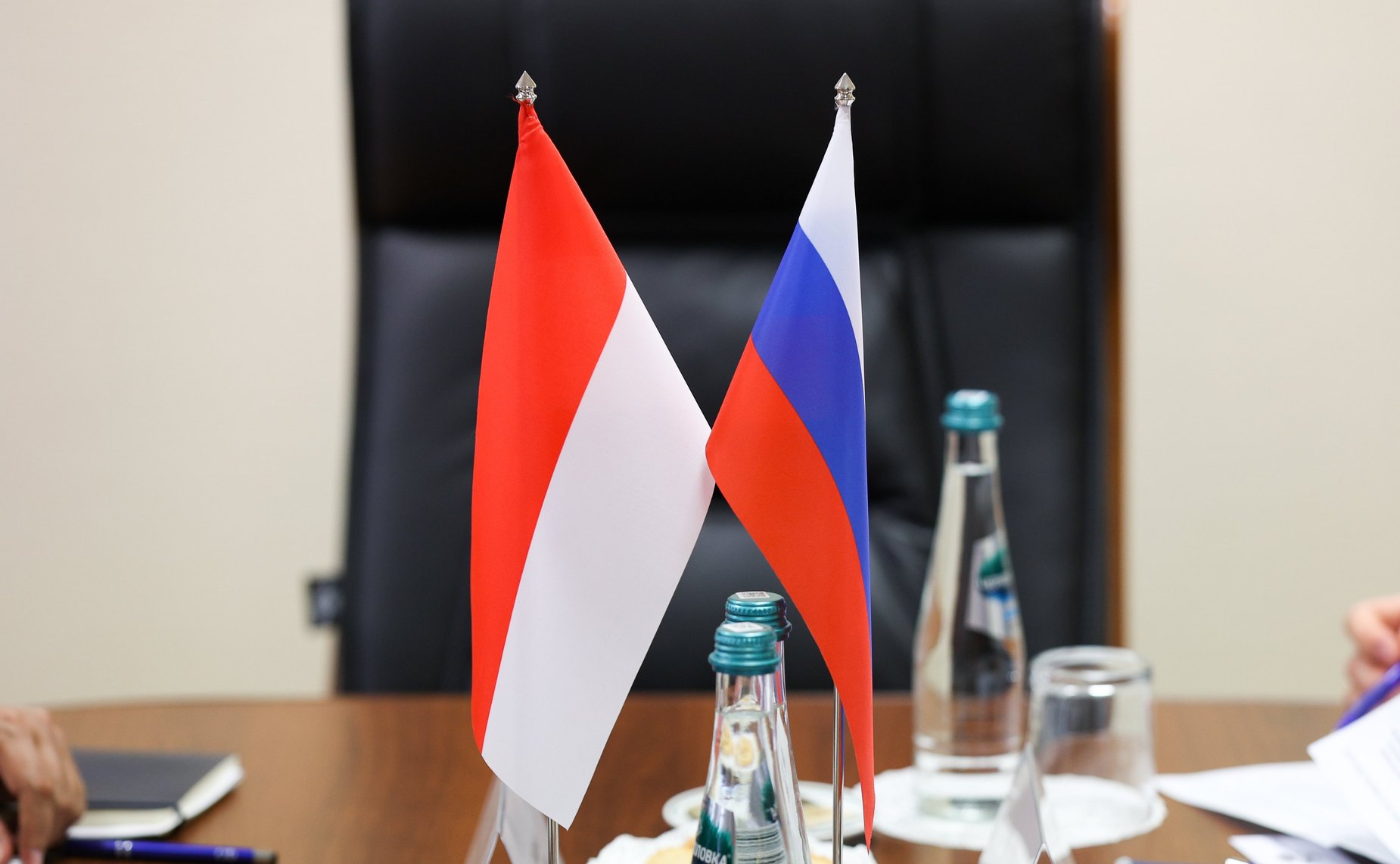 Встреча первого заместителя председателя Комитета СФ по науке, образованию и культуре Ильяса Умаханова с Чрезвычайным и Полномочным Послом Республики Индонезии в РФ Жозе Антонио Морато Таварешем