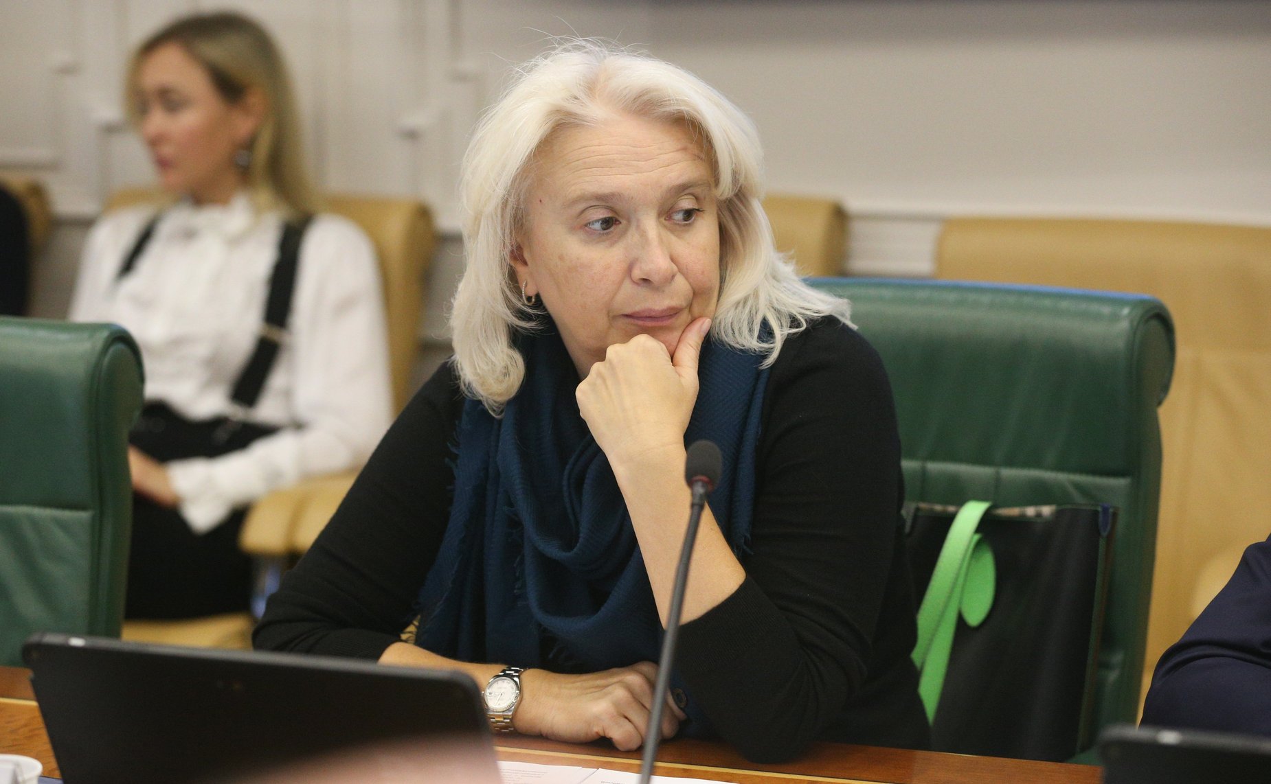 Круглый стол Комитета СФ по экономической политике совместно с Комитетом СФ по международным делам