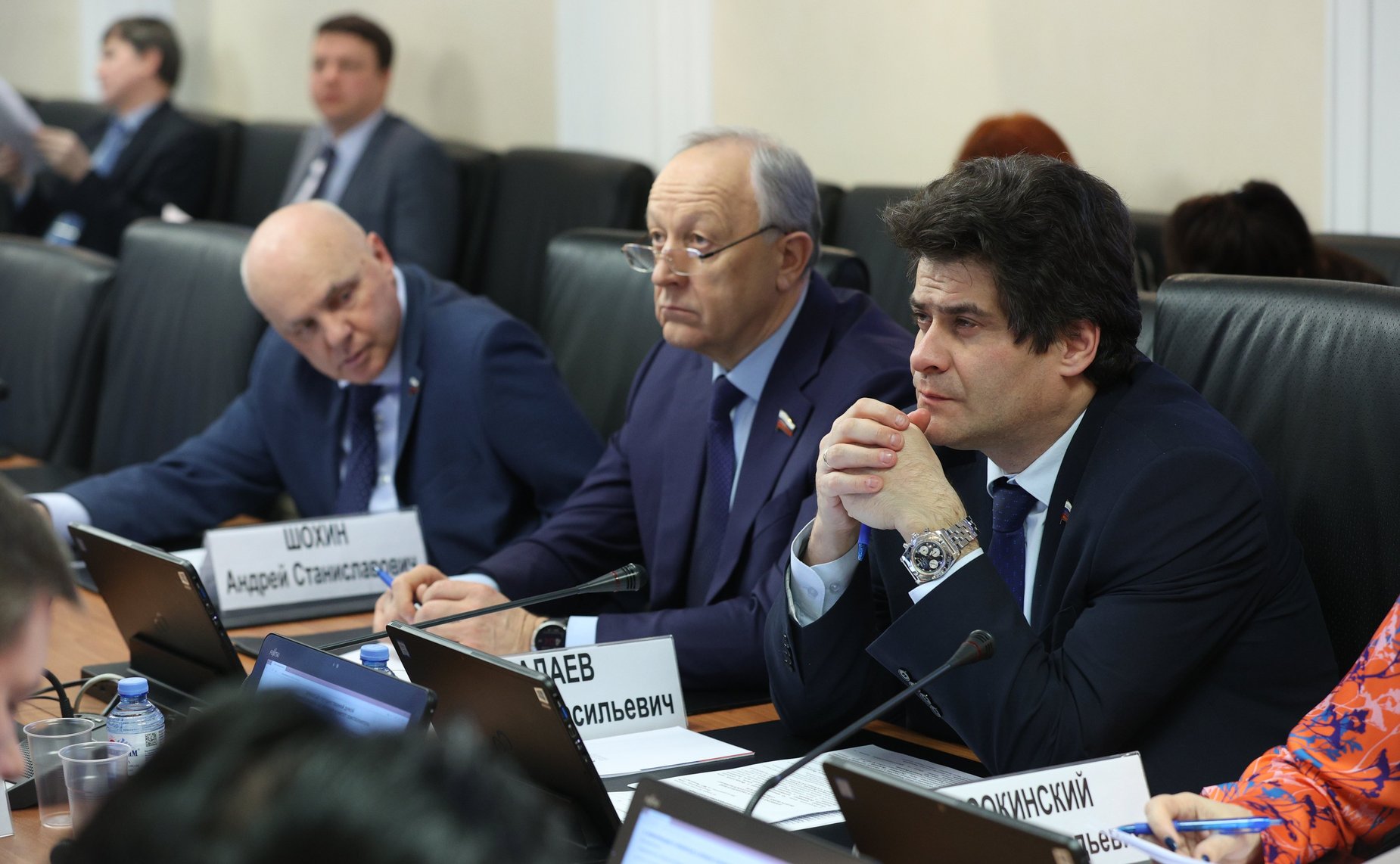 Заседание Комитета СФ по федеративному устройству, региональной политике, МСУ и делам Севера