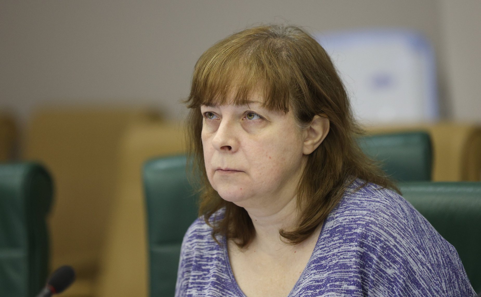 Совещание Комитета СФ по бюджету и финансовым рынкам