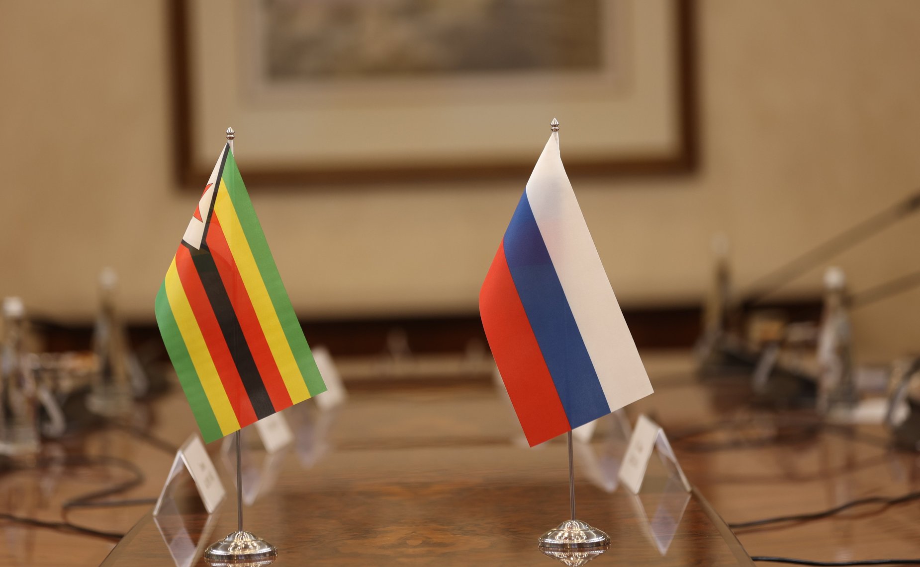 Встреча Председателя СФ Валентины Матвиенко с супругой Президента Республики Зимбабве, основателем благотворительного фонда «Ангел надежды» Ауксиллией Мнангагвой