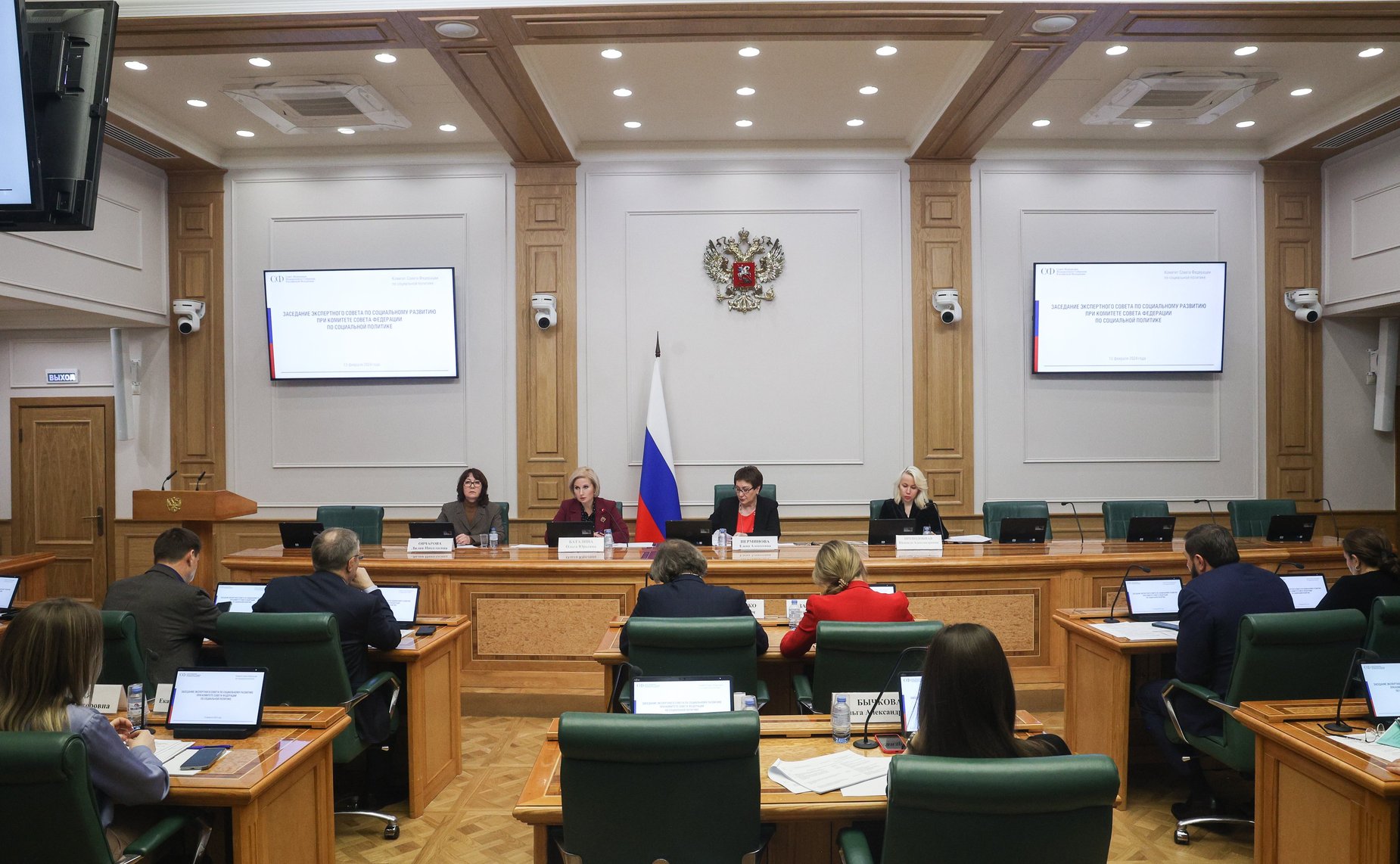 Заседание Экспертного совета по социальному развитию при Комитета Совета Федерации по социальной политике на тему «О проведении Года семьи в Российской Федерации»