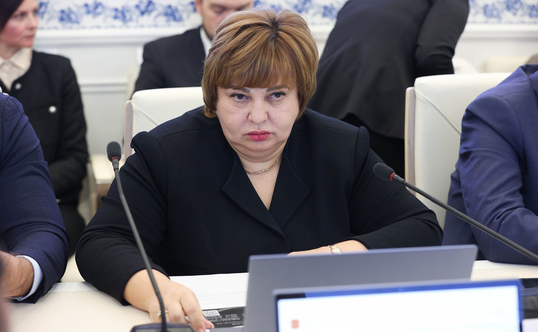 Расширенное заседание Комитета СФ по науке, образованию и культуре (в рамках Дней Хабаровского края в СФ)