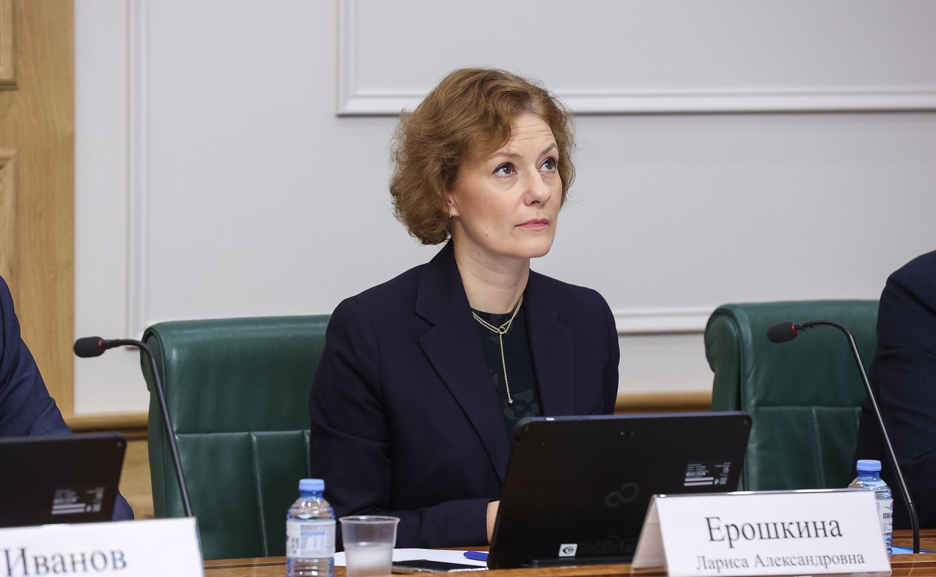 Расширенное заседание Комитета СФ по бюджету и финансовым рынкам (в рамках Дней Республики Марий Эл в СФ)