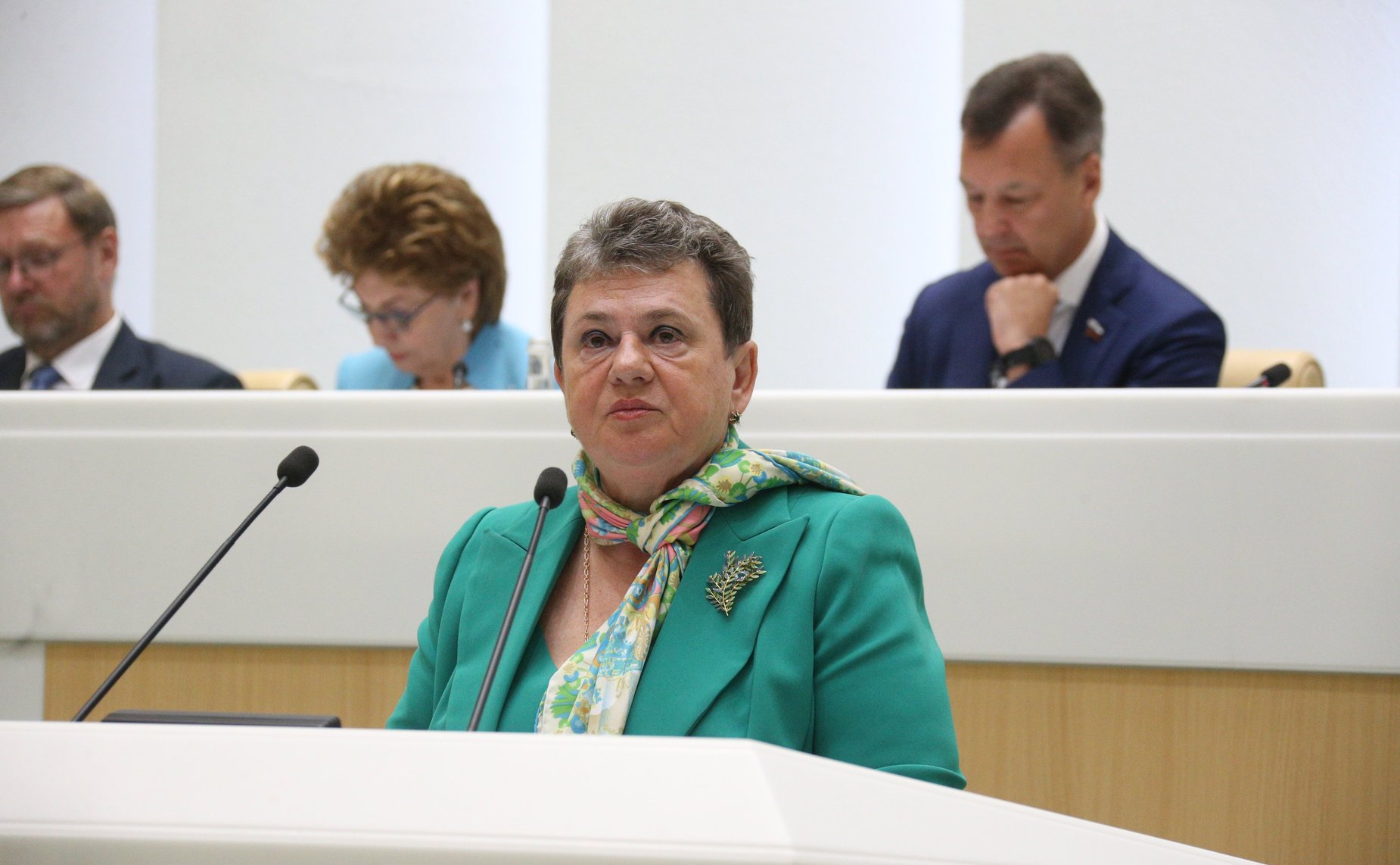 528-е заседание Совета Федерации