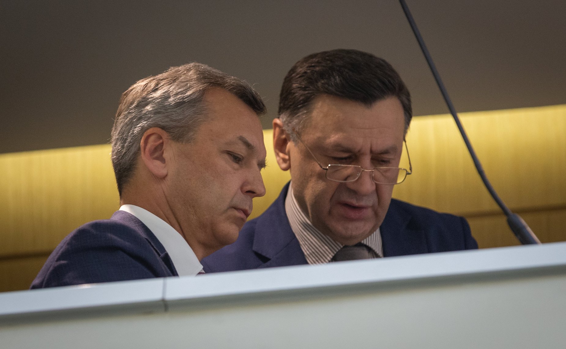 463-е заседание Совета Федерации