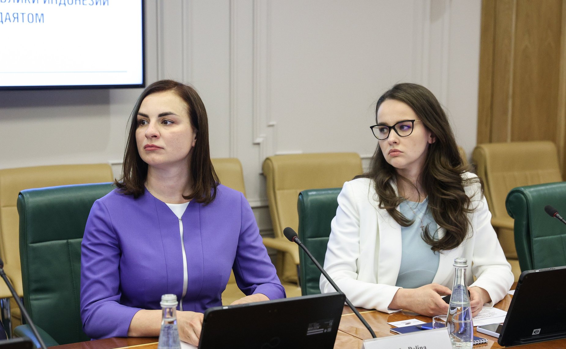 Встреча председателя Комитета СФ по конституционному законодательству и государственному строительству Андрея Клишаса с руководителем Комитета по исследованиям Народного консультативного конгресса Республики Индонезии