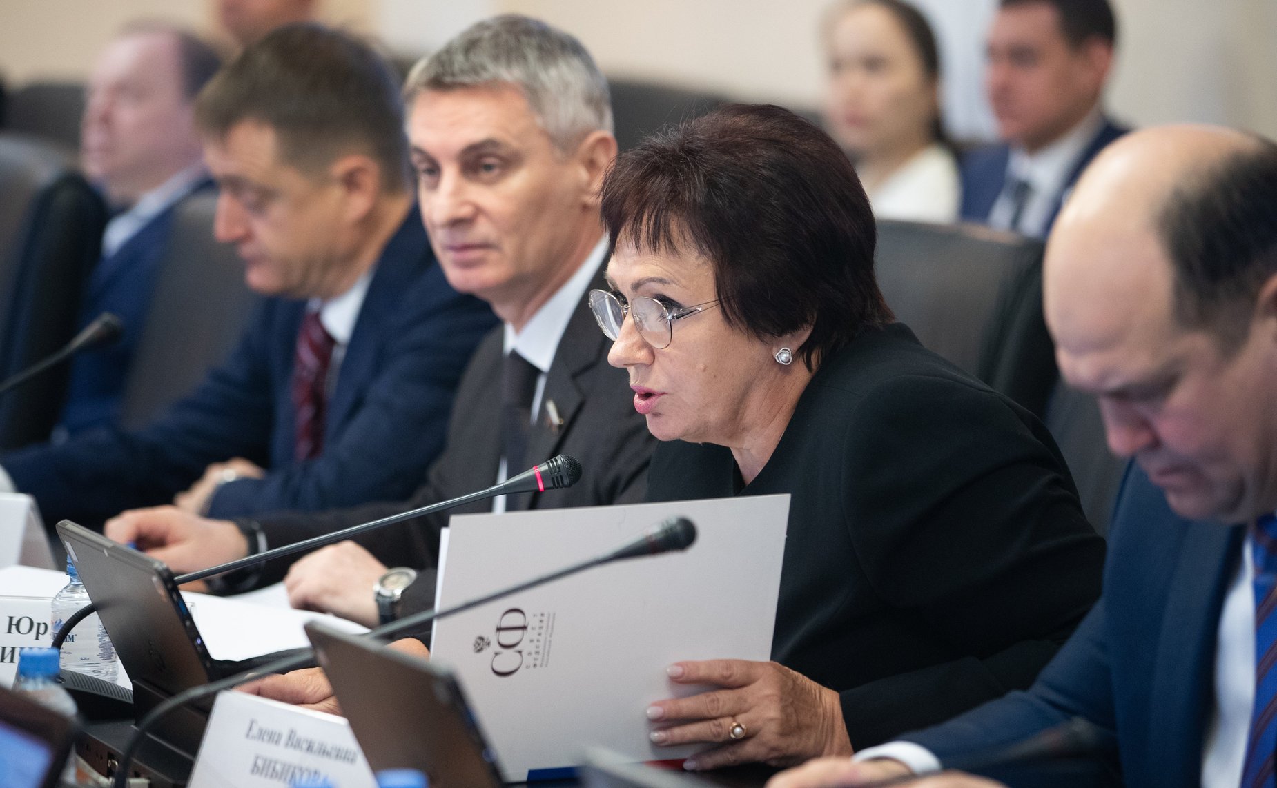 Елена Бибикова