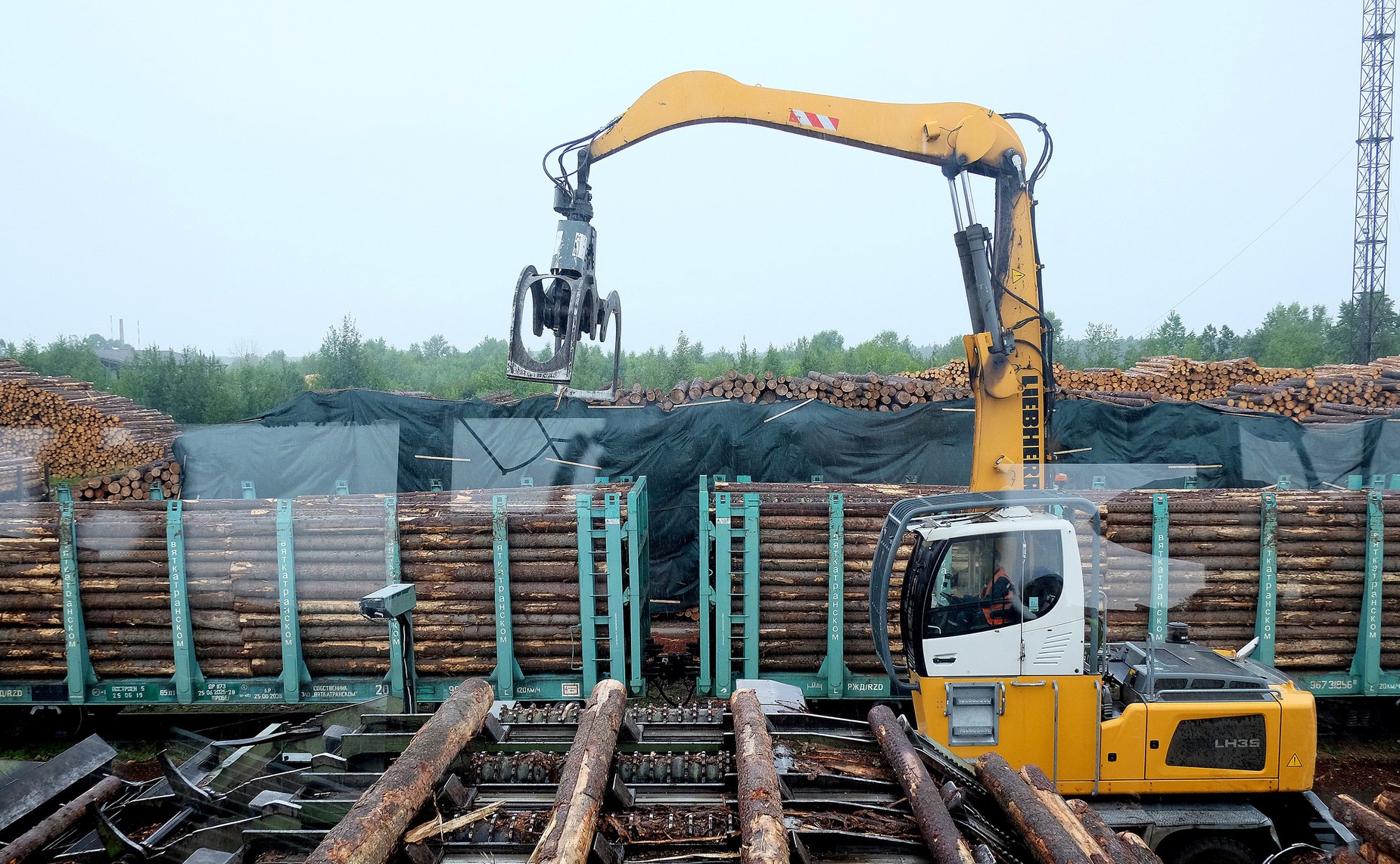 Сенаторы посетили деревоперерабатывающие предприятия в Кировской области