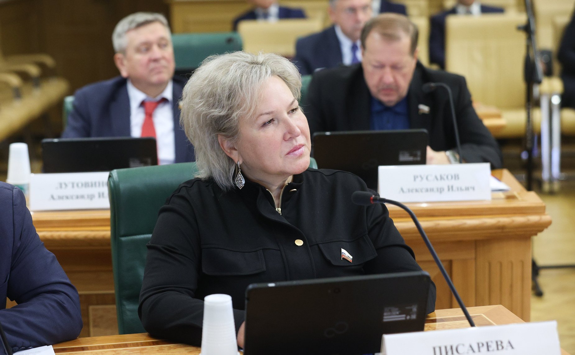 Елена Писарева