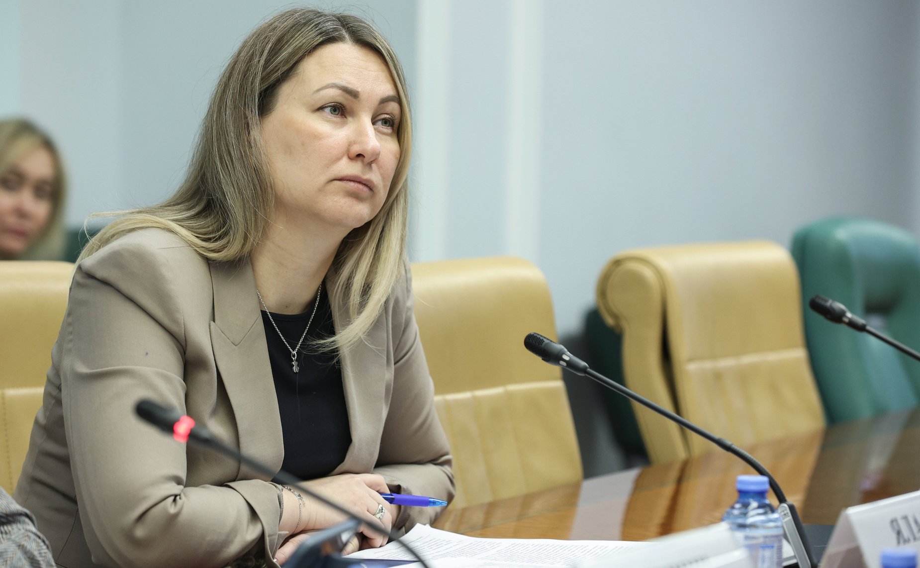 Круглый стол Комитета СФ по экономической политике