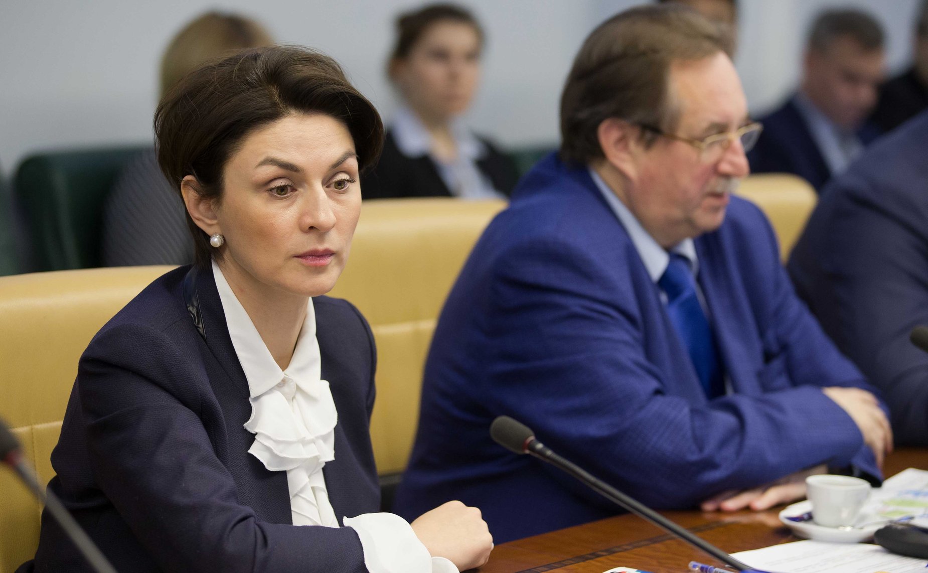 Заседание Экспертного совета по физкультуре и спорту при Комитете СФ по социальной политике