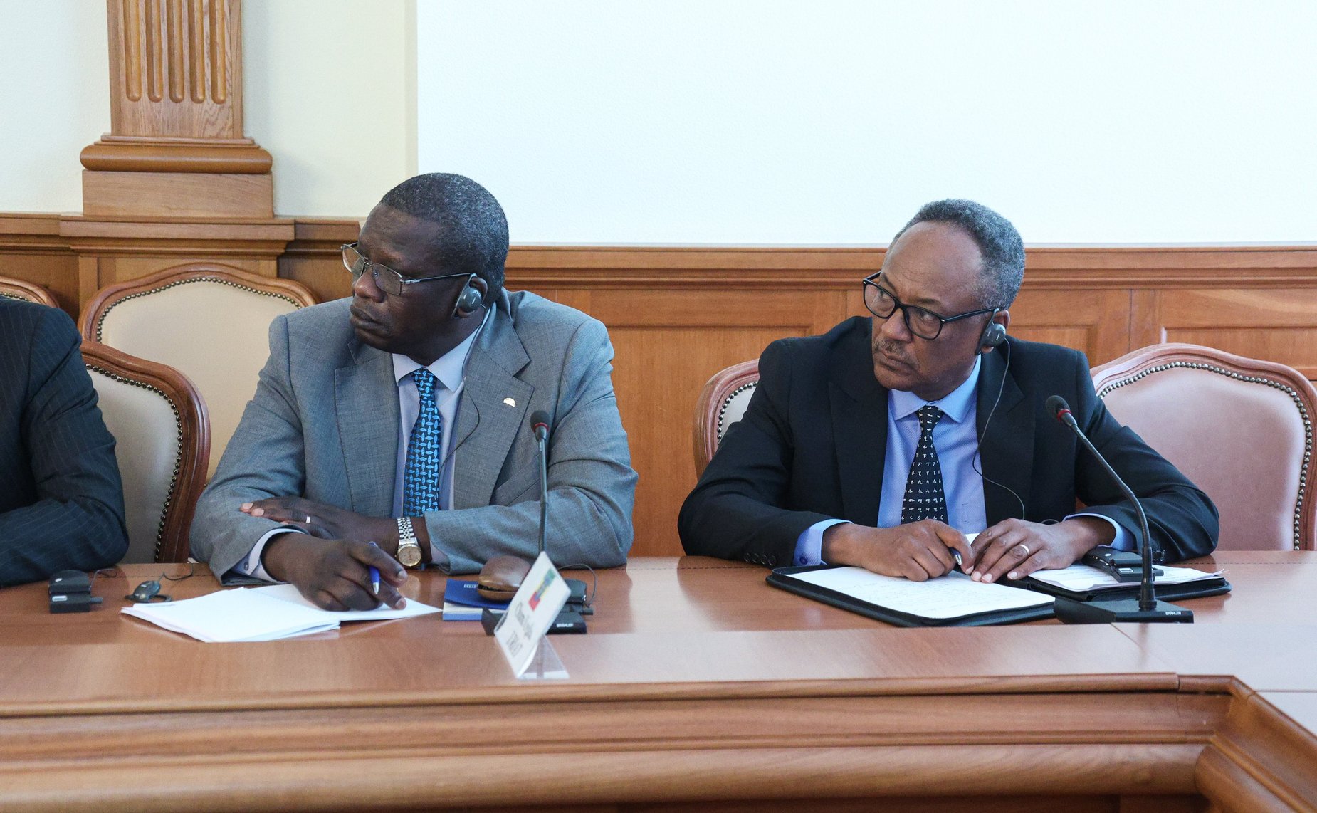 Встреча председателей комитетов по международным делам парламентов (палат парламентов) стран БРИКС с Министром иностранных дел Российской Федерации Сергеем Лавровым