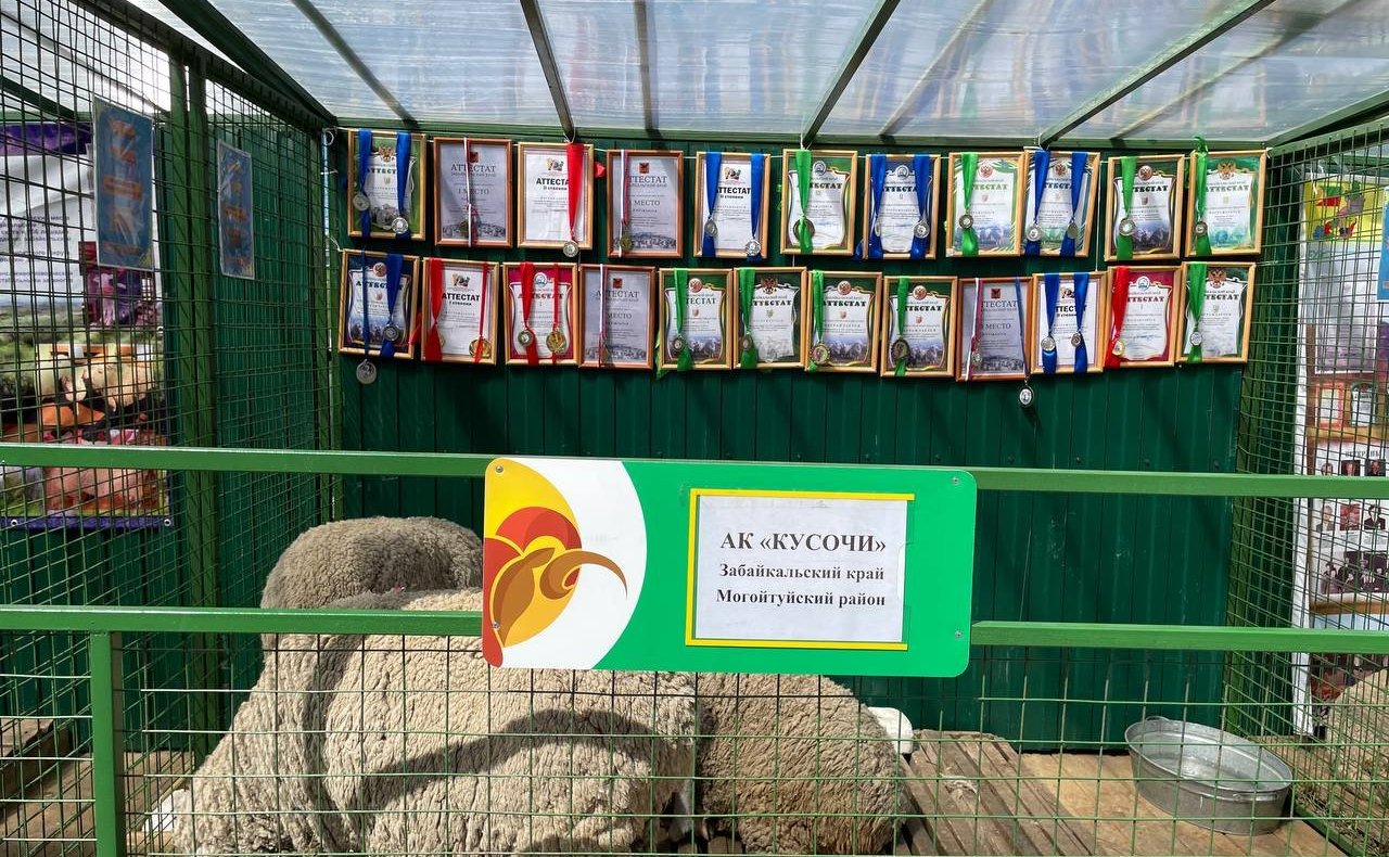 Сергей Михайлов: Важно увеличить поддержку производства шерсти