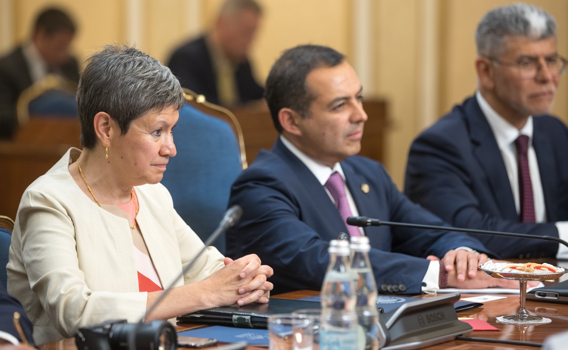 Встреча с Председателем Палаты сенаторов Генерального конгресса Мексики