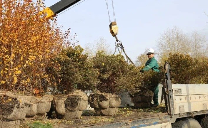Александр Усс принял участие в высадке деревьев в экопарке «Юдинская долина»