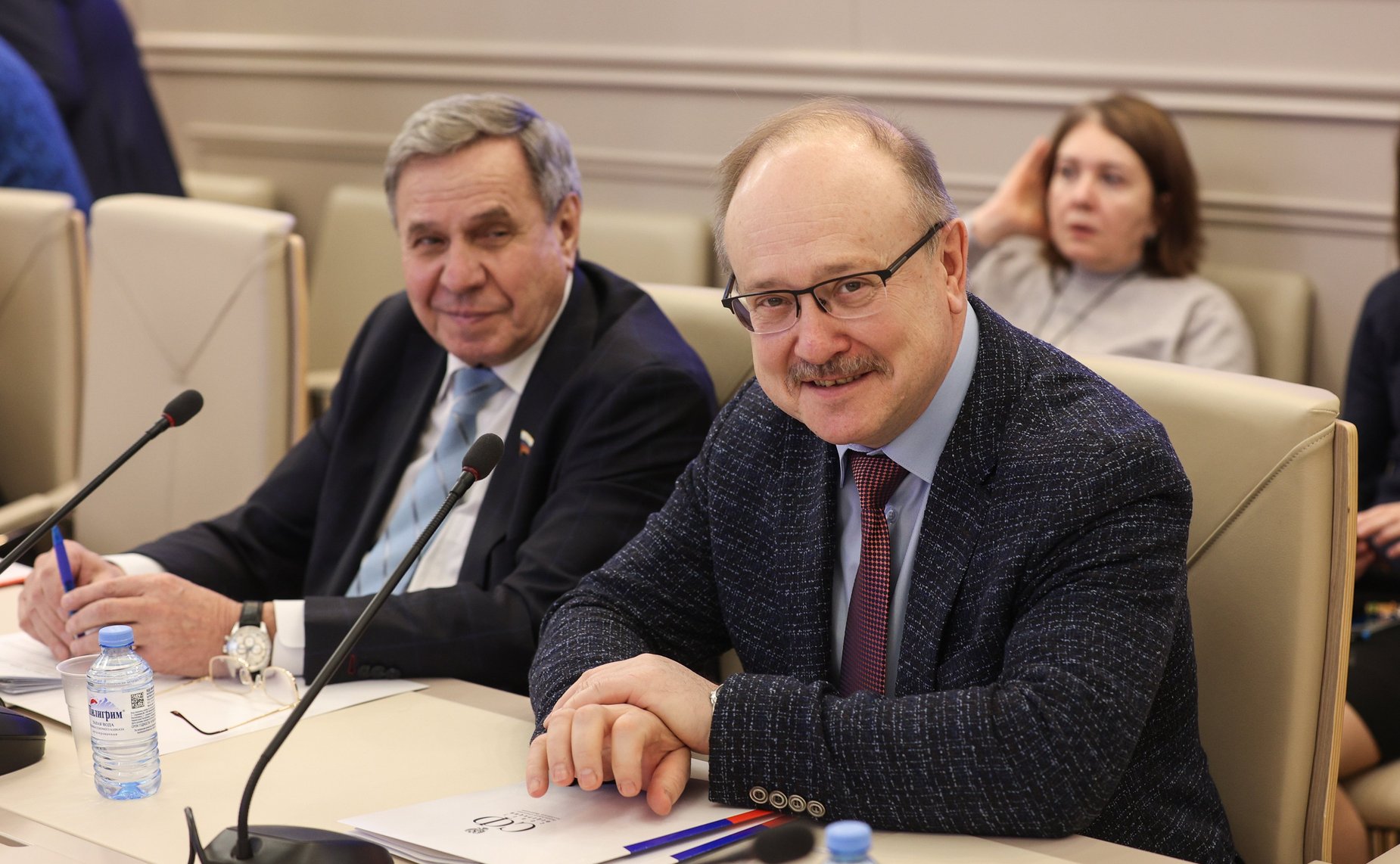 Заседание рабочей группы Комитета СФ по бюджету и финансовым рынкам по подготовке предложений по обеспечению сбалансированности бюджетов субъектов РФ с учетом их особенностей