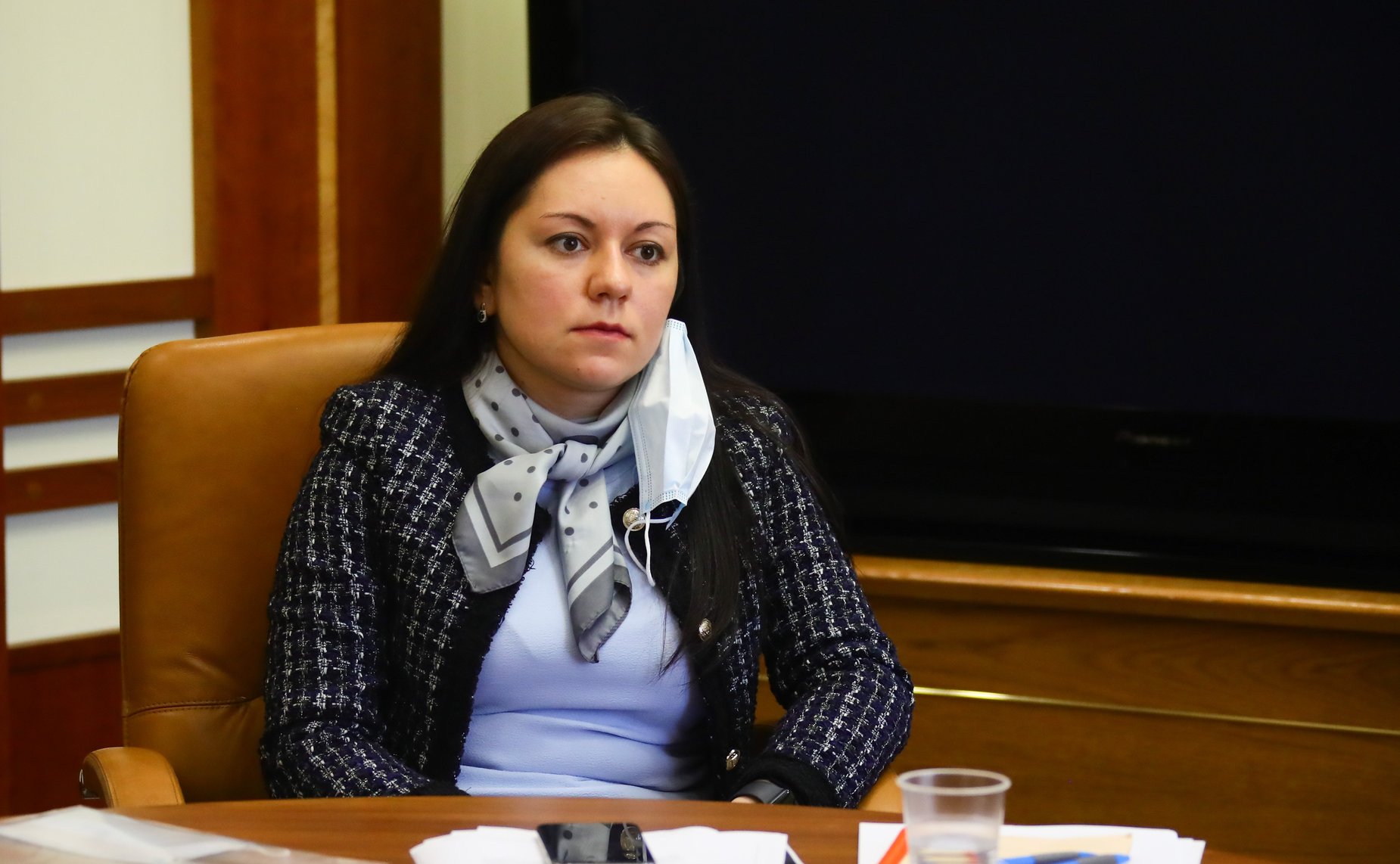 Заседании Рабочей группы по рассмотрению годового отчета Банка России за 2019