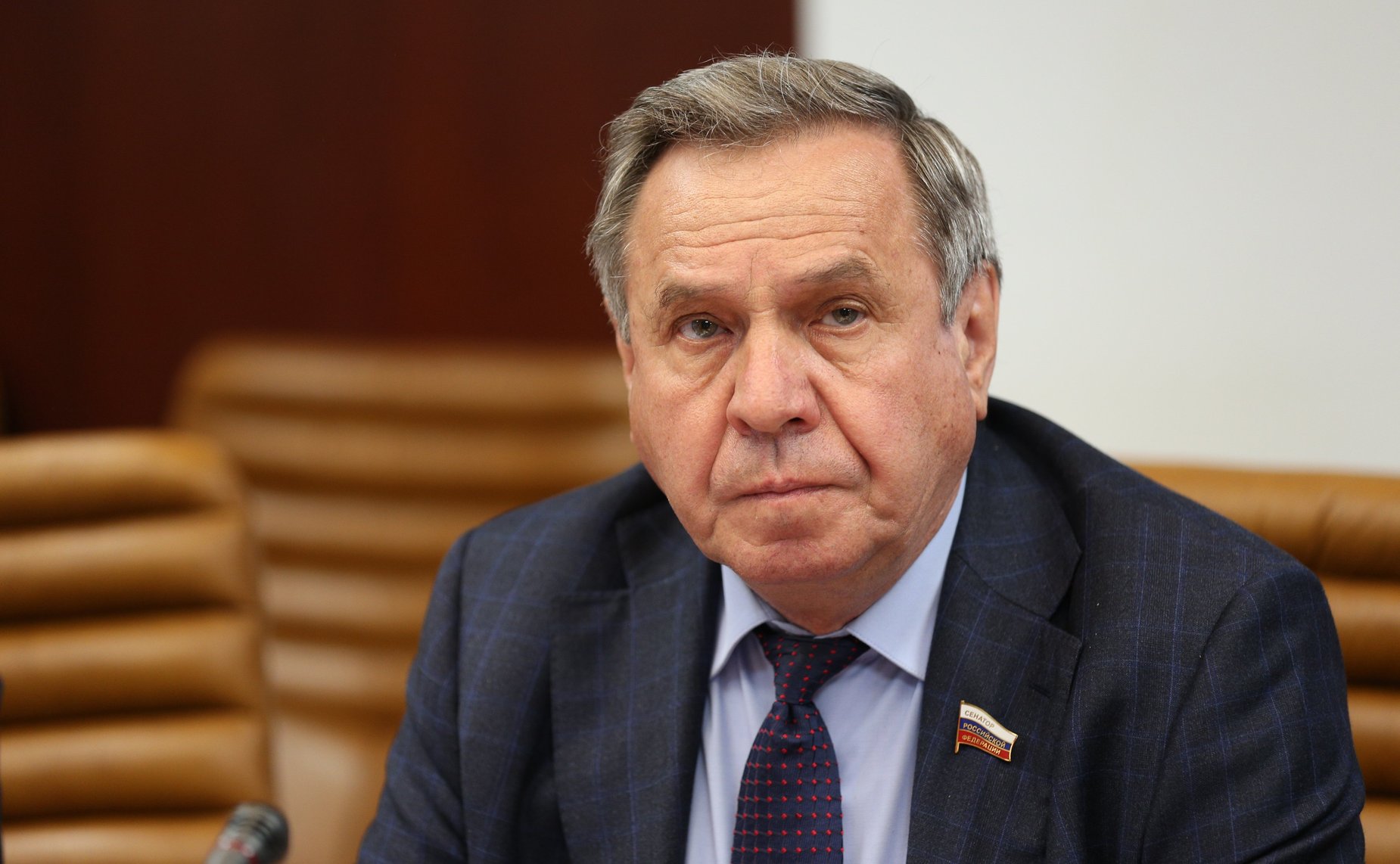 Владимир Городецкий