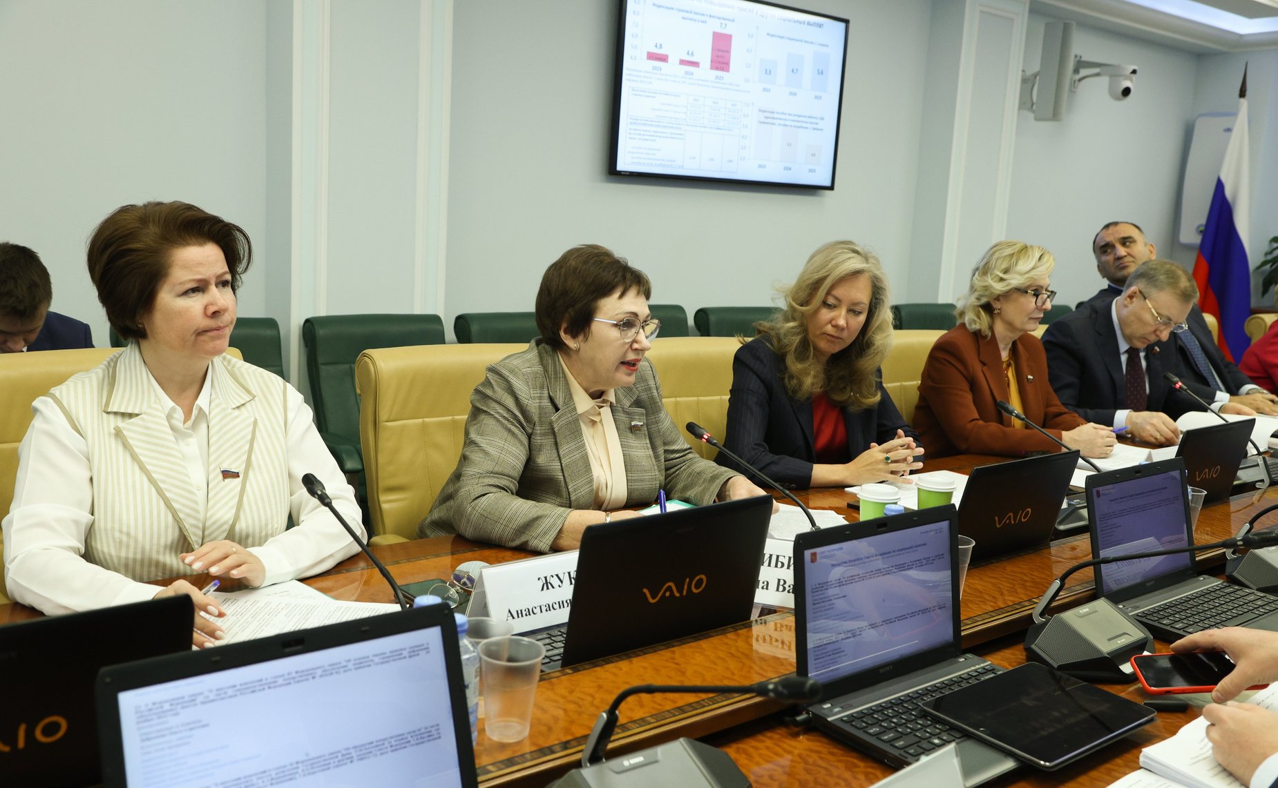 Заседание Комитета СФ по социальной политике