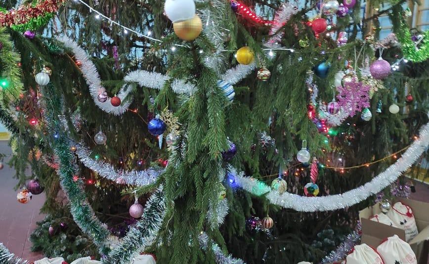 Вместе с Дедом Морозом и Снегурочкой на новогодней ёлке поздравляли детей-сирот Тельченской общеобразовательной школы-интерната Мценского района Орловской области