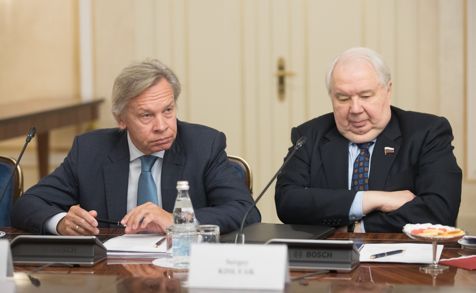 А. Пушков и С. Кисляк