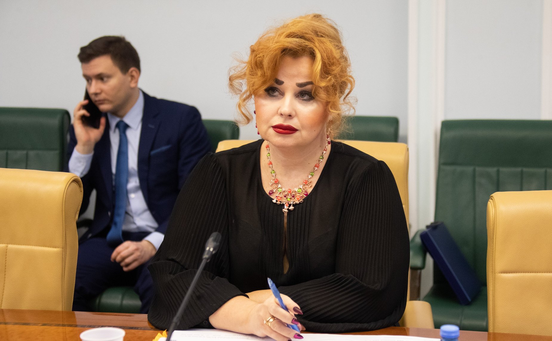 Заседание Комитета СФ по социальной политике