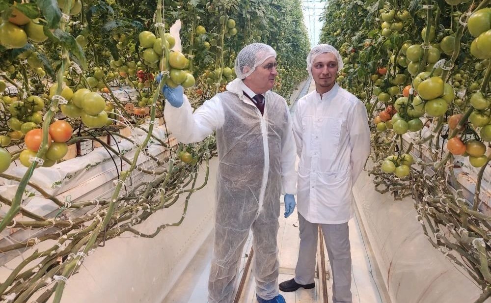 Николай Федоров посетил тепличный комплекс «Новочебоксарский»