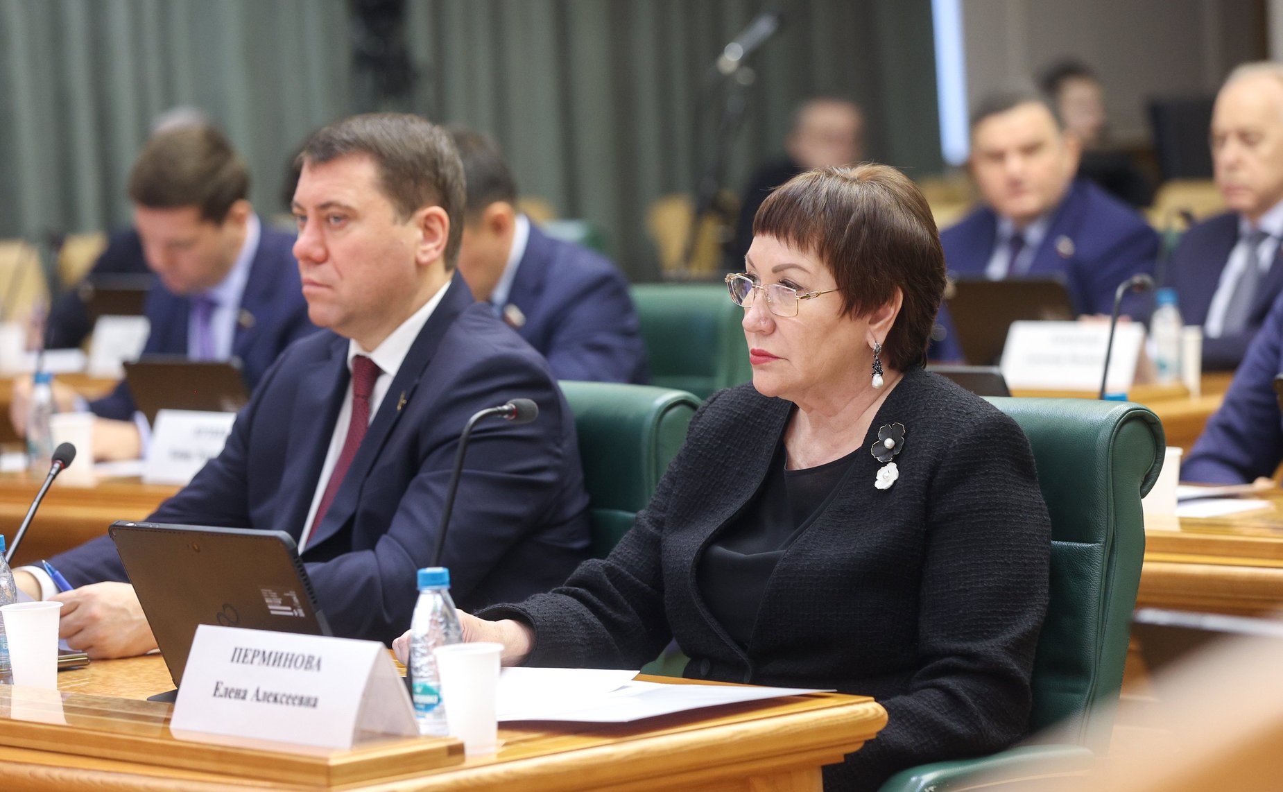 Елена Перминова