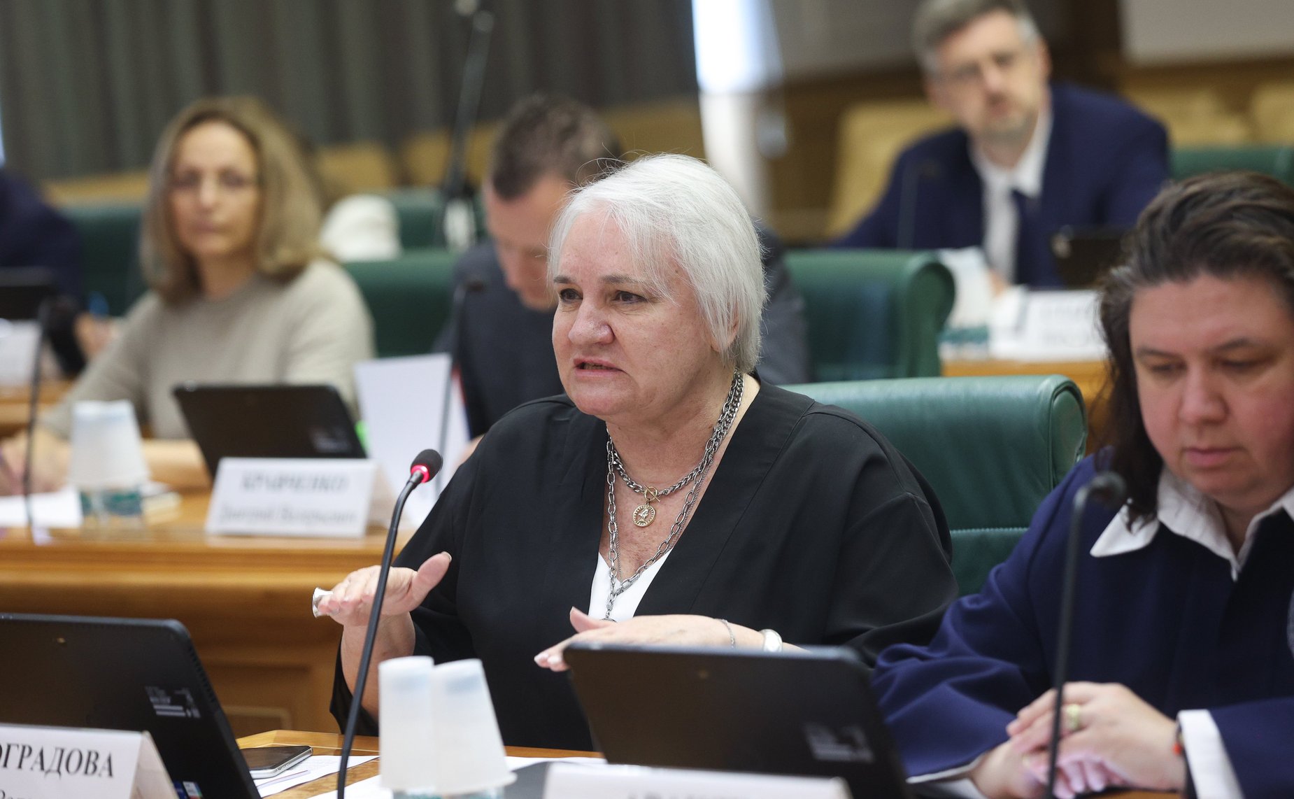 Заседание экспертно-консультативного совета при Комитете Совета Федерации по конституционному законодательству и государственному строительству