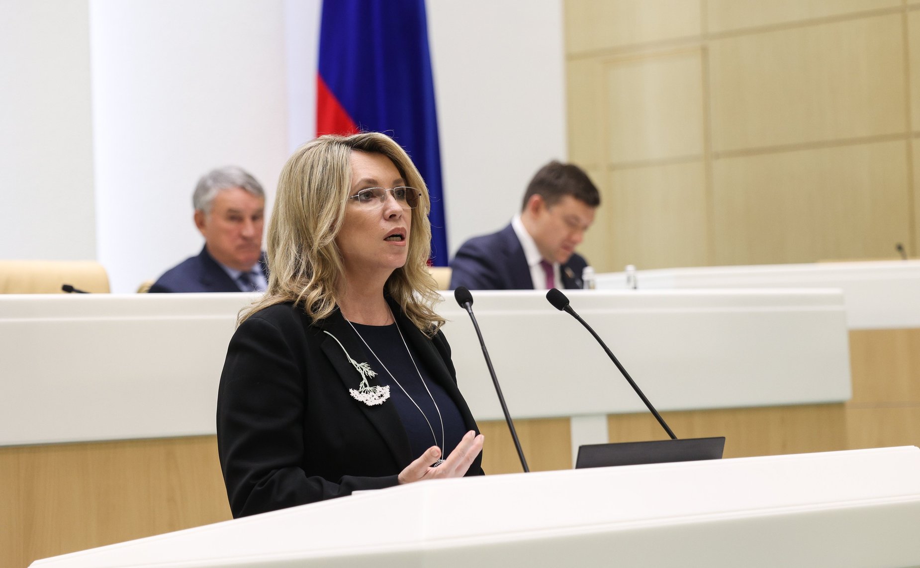 569-е заседание Совета Федерации