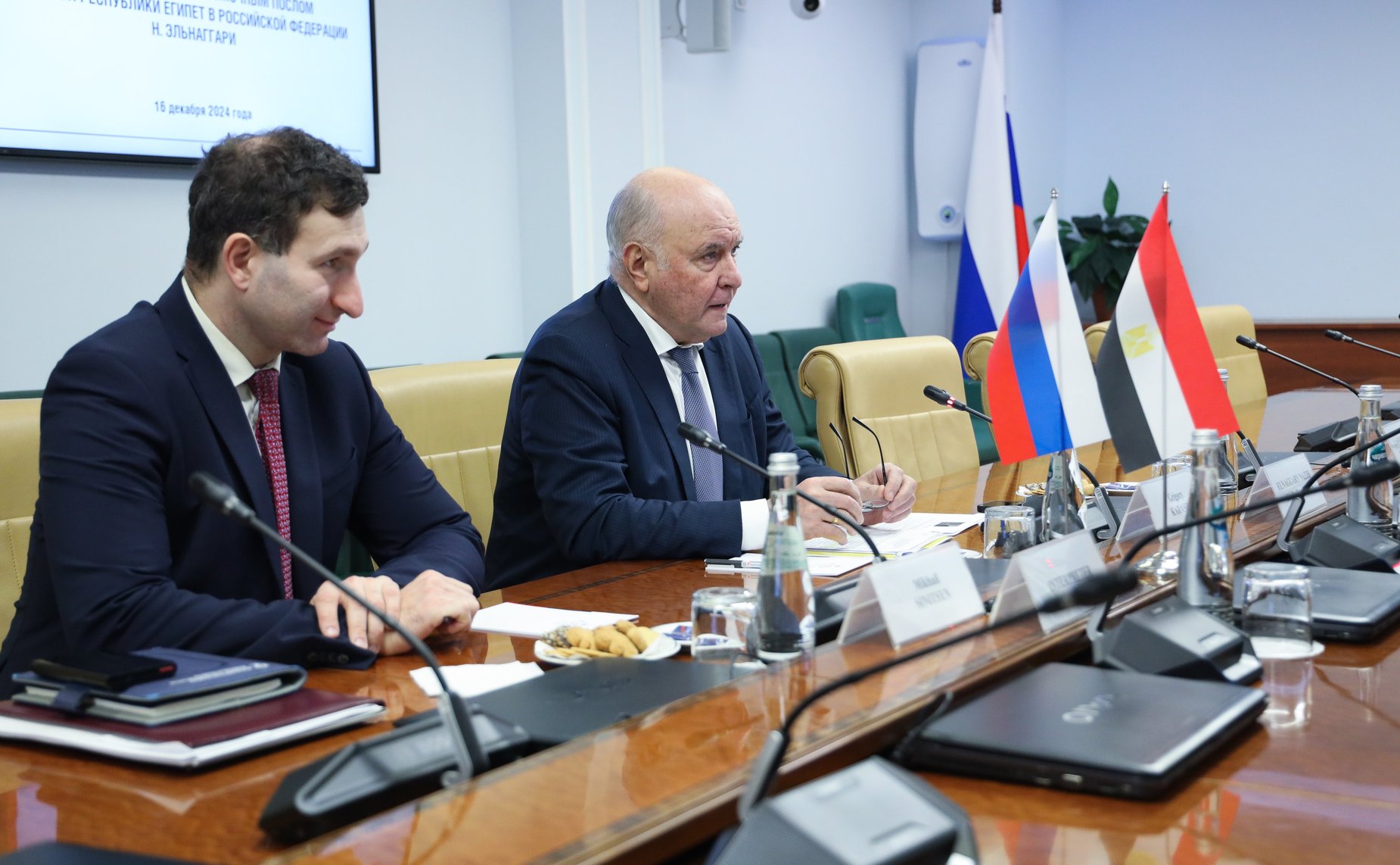 Встреча председателя Комитета Совета Федерации по международным делам Григория Карасина с Чрезвычайным и Полномочным Послом Арабской Республики Египет в Российской Федерации