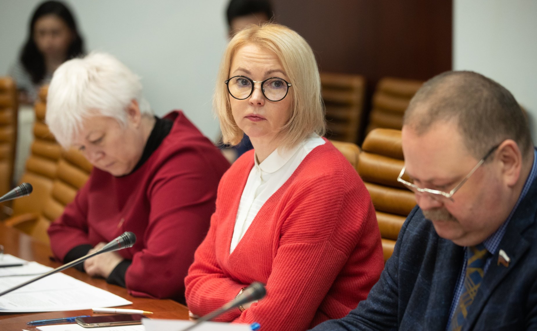 Заседание Временной комиссии по защите государственного суверенитета и недопущению вмешательства во внутренние дела РФ