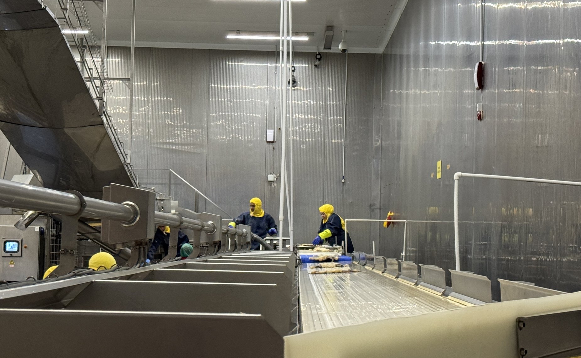 Елена Дягилева посетила одну из рыбных компаний — береговое перерабатывающее производство