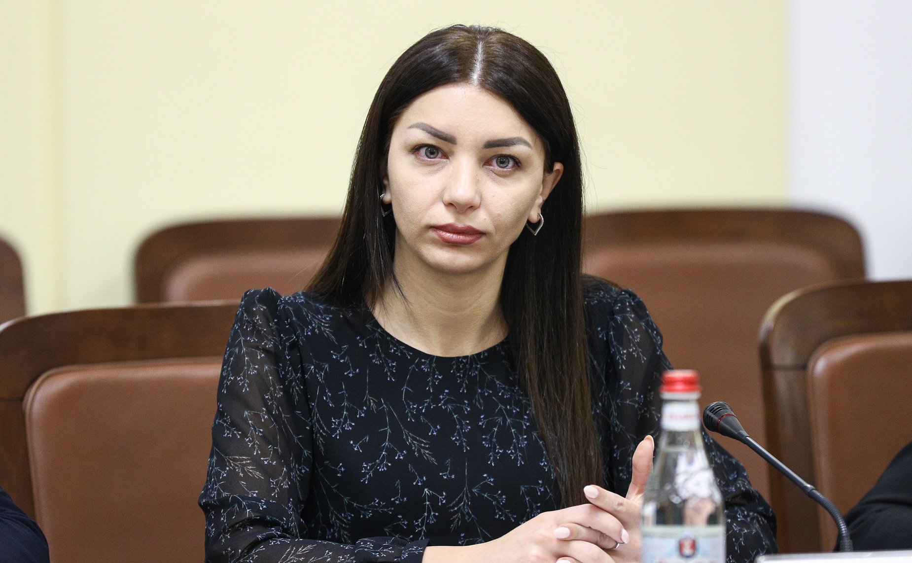 Встреча сопредседателей Межпарламентской комиссии по сотрудничеству Федерального Собрания Российской Федерации и Национального Собрания Республики Армения Юрия Воробьева и Акоба Аршакяна