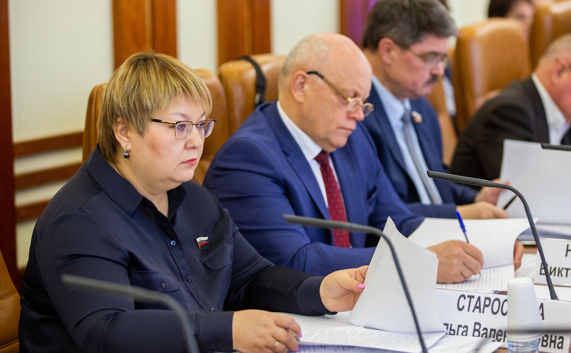 Заседание Комитета СФ по федеративному устройству, региональной политике, местному самоуправлению и делам Севера