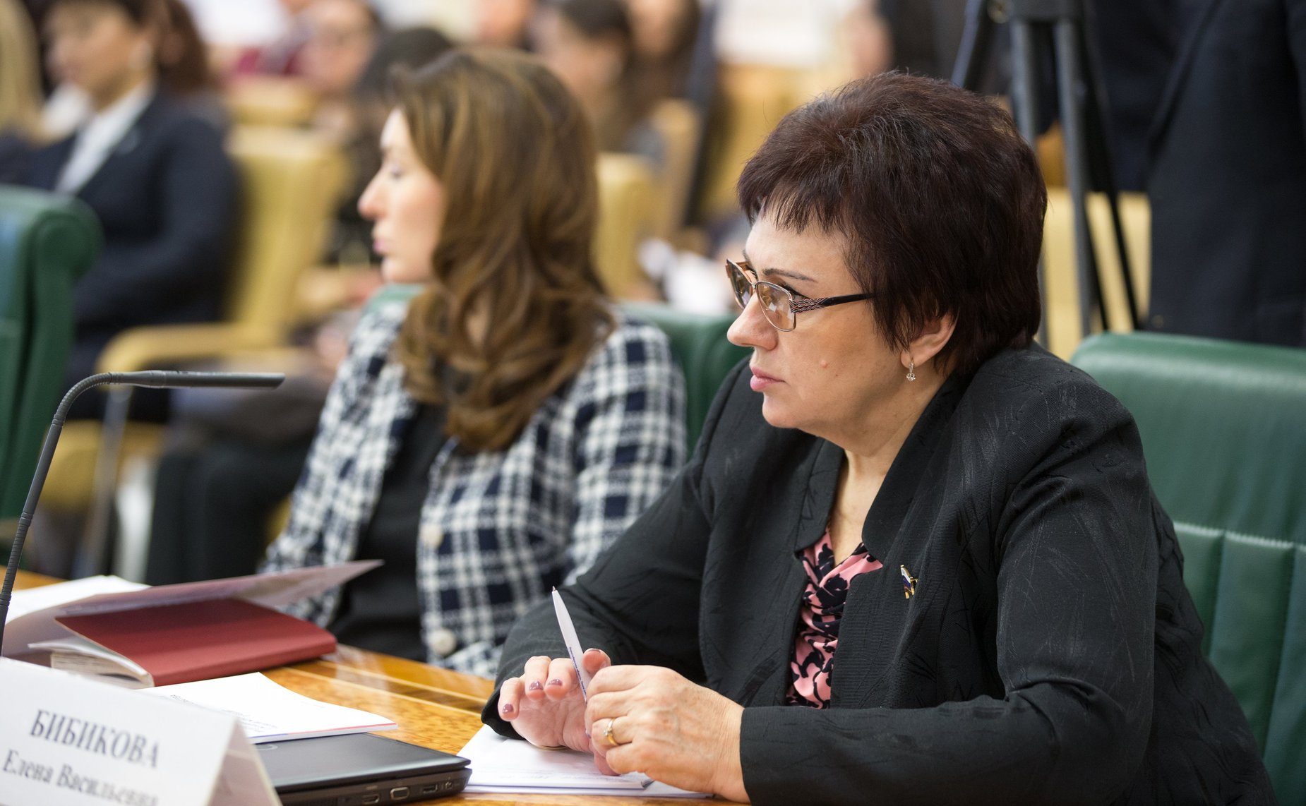 Е. Бибикова