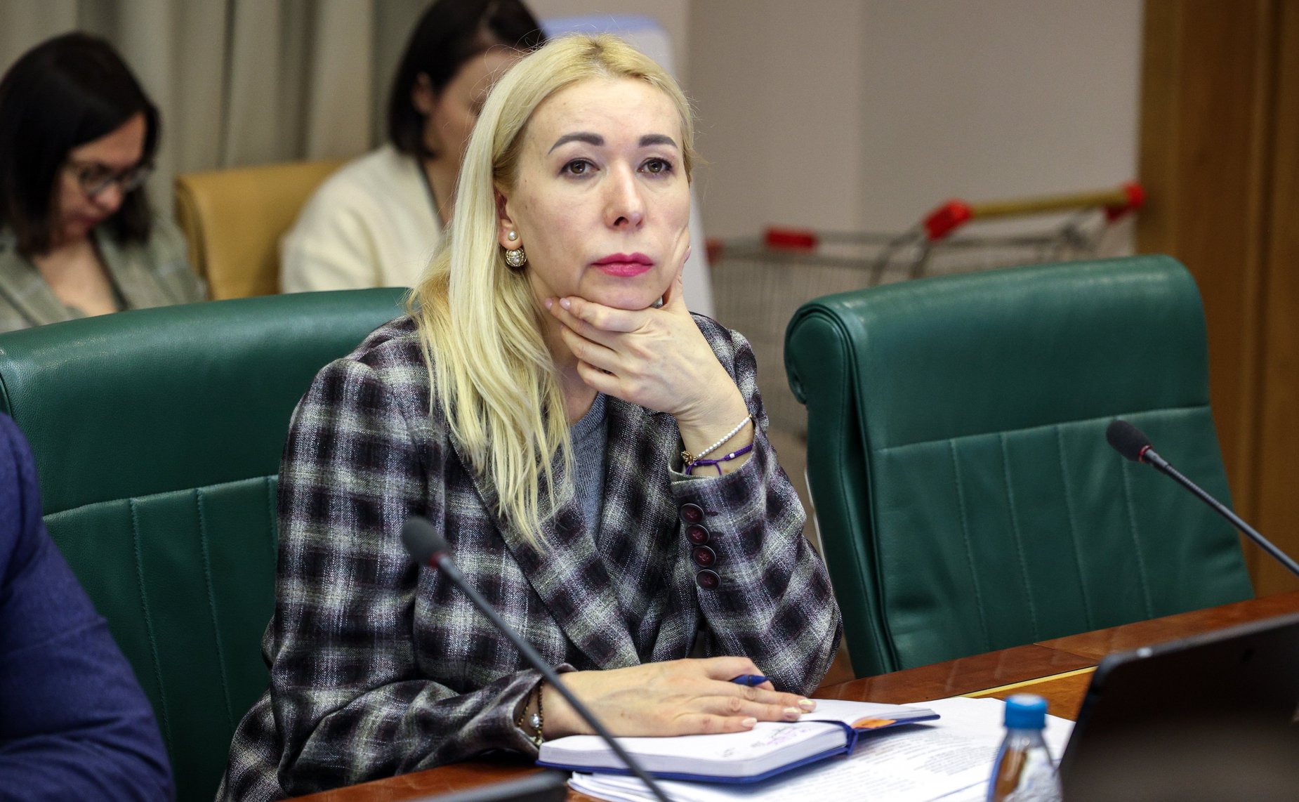 Заседание Комитета Совета Федерации по экономической политике