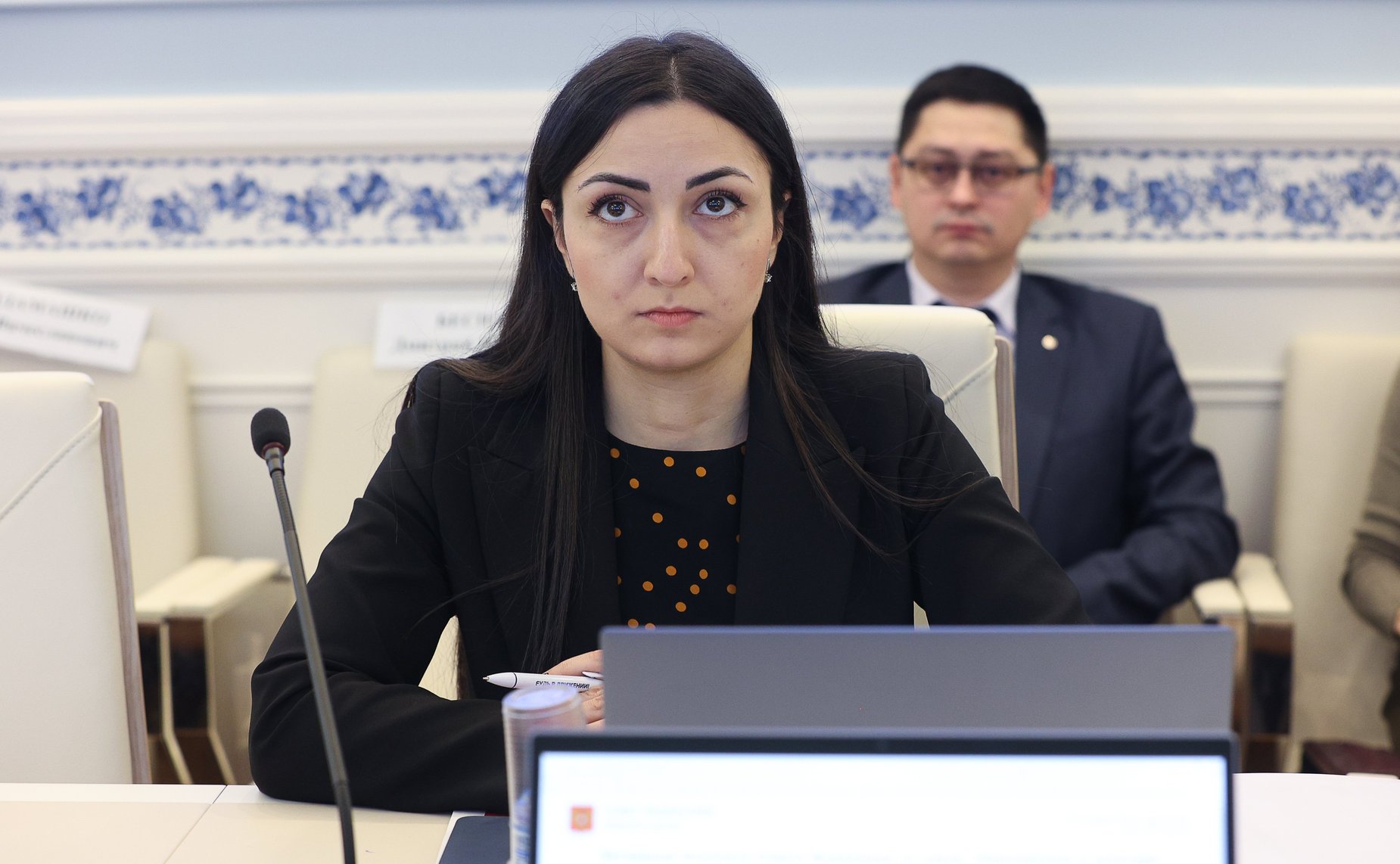 Заседание Комитета СФ по науке, образованию и культуре