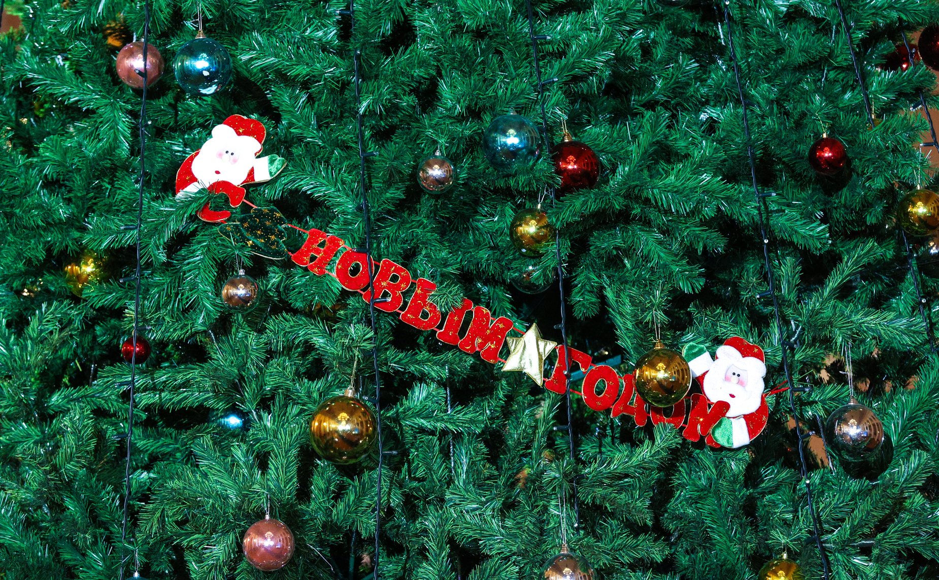 По инициативе Валентины Матвиенко в Таврическом дворце Санкт-Петербурга организована Рождественская елка для детей участников СВО